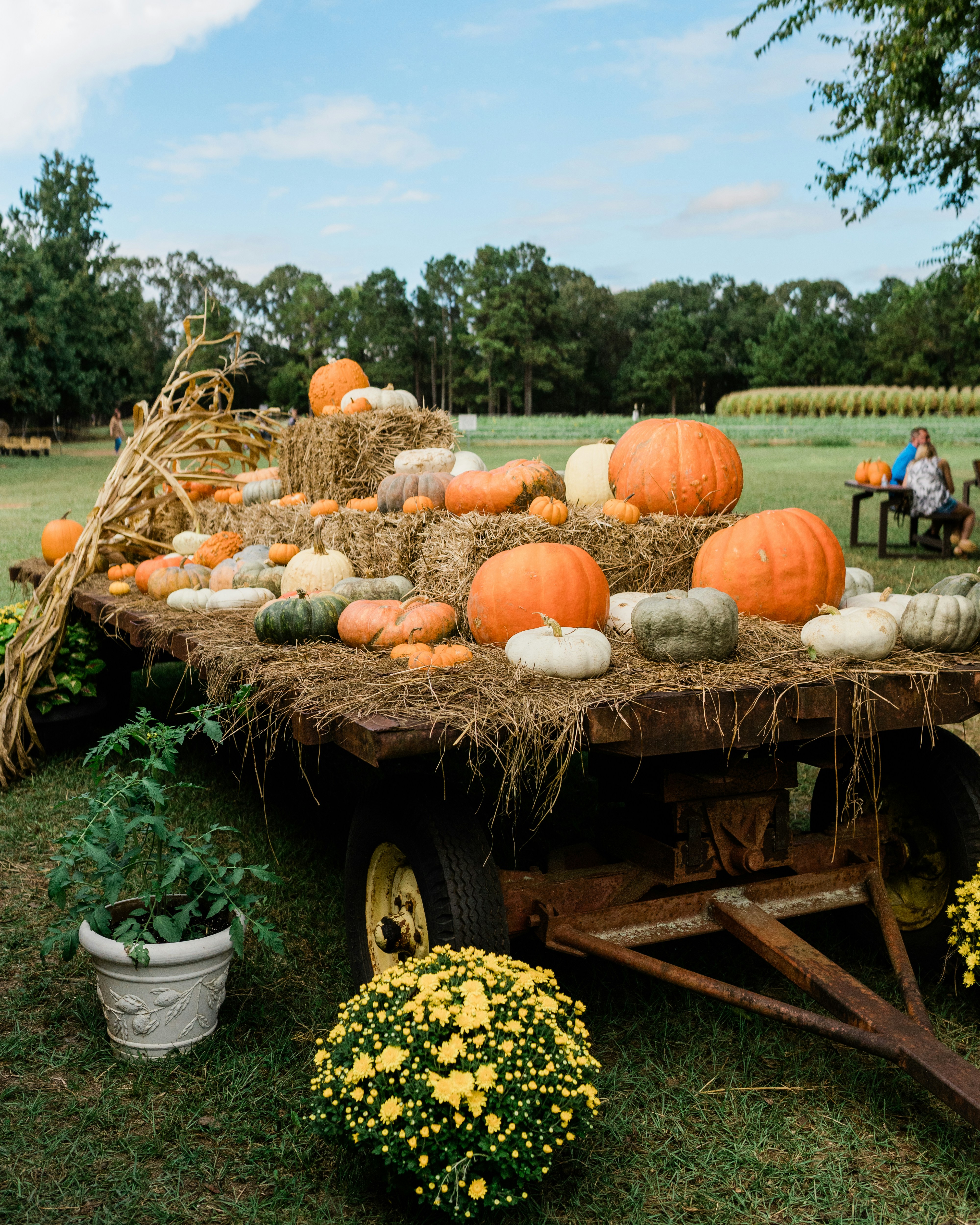 A wagon filled with hay and pumpkins in a field