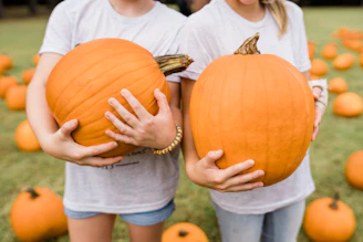 Two girls holding pumpkins in a field of pumpkins