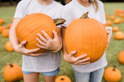 Two girls holding pumpkins in a field of pumpkins