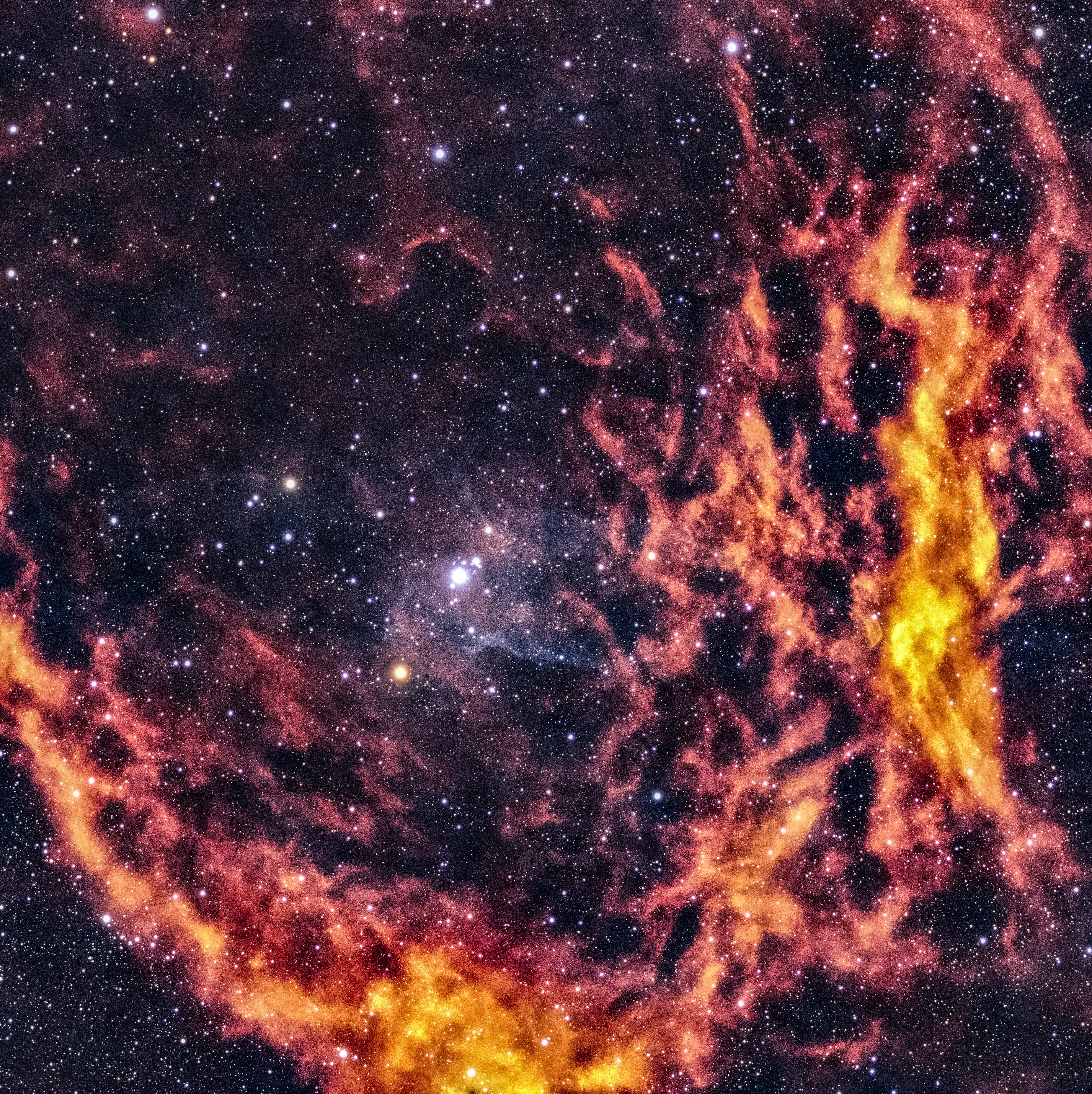 Brilliant star shining brightly in the night sky