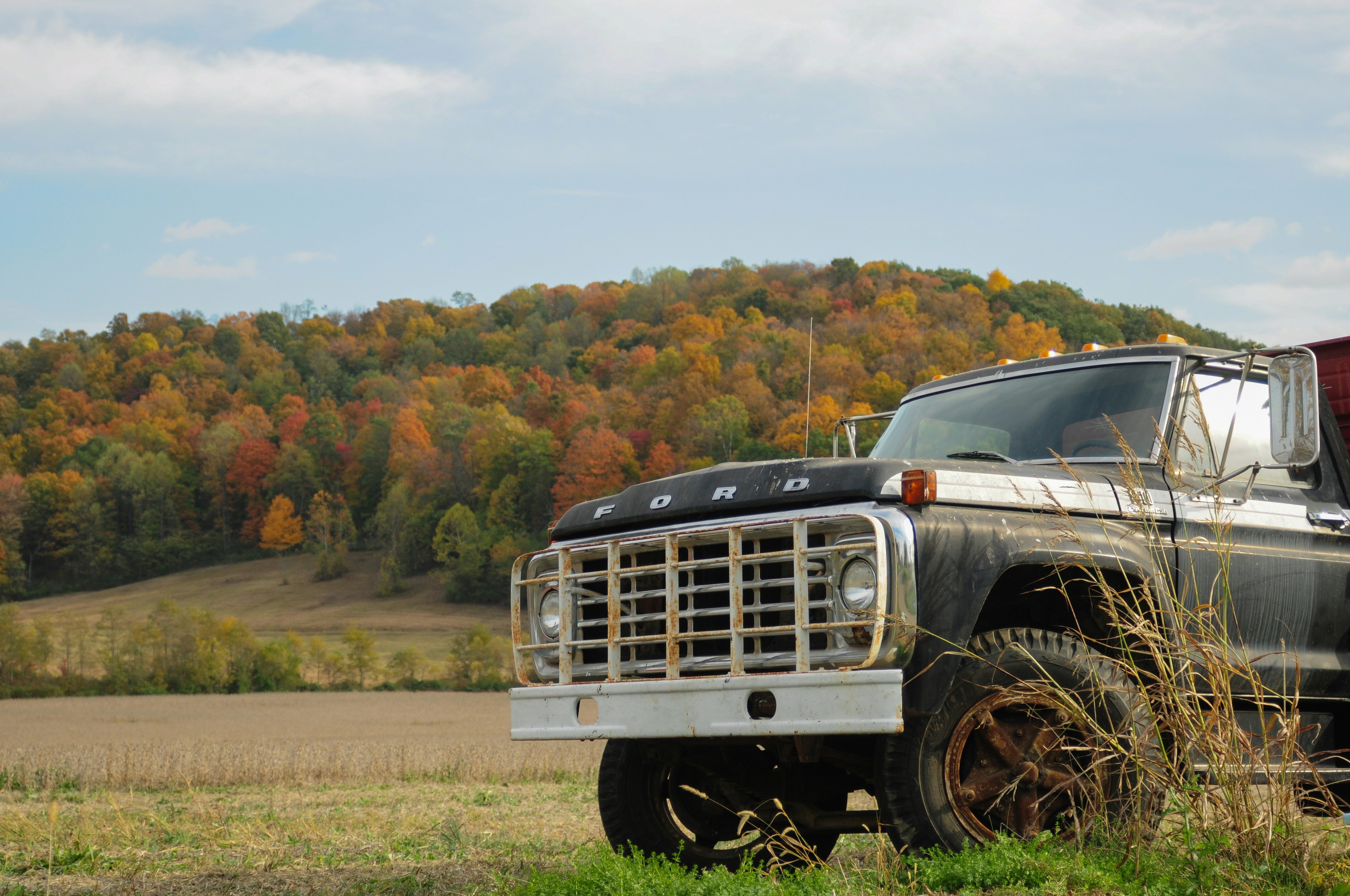A black truck parked in a field with trees in the background
