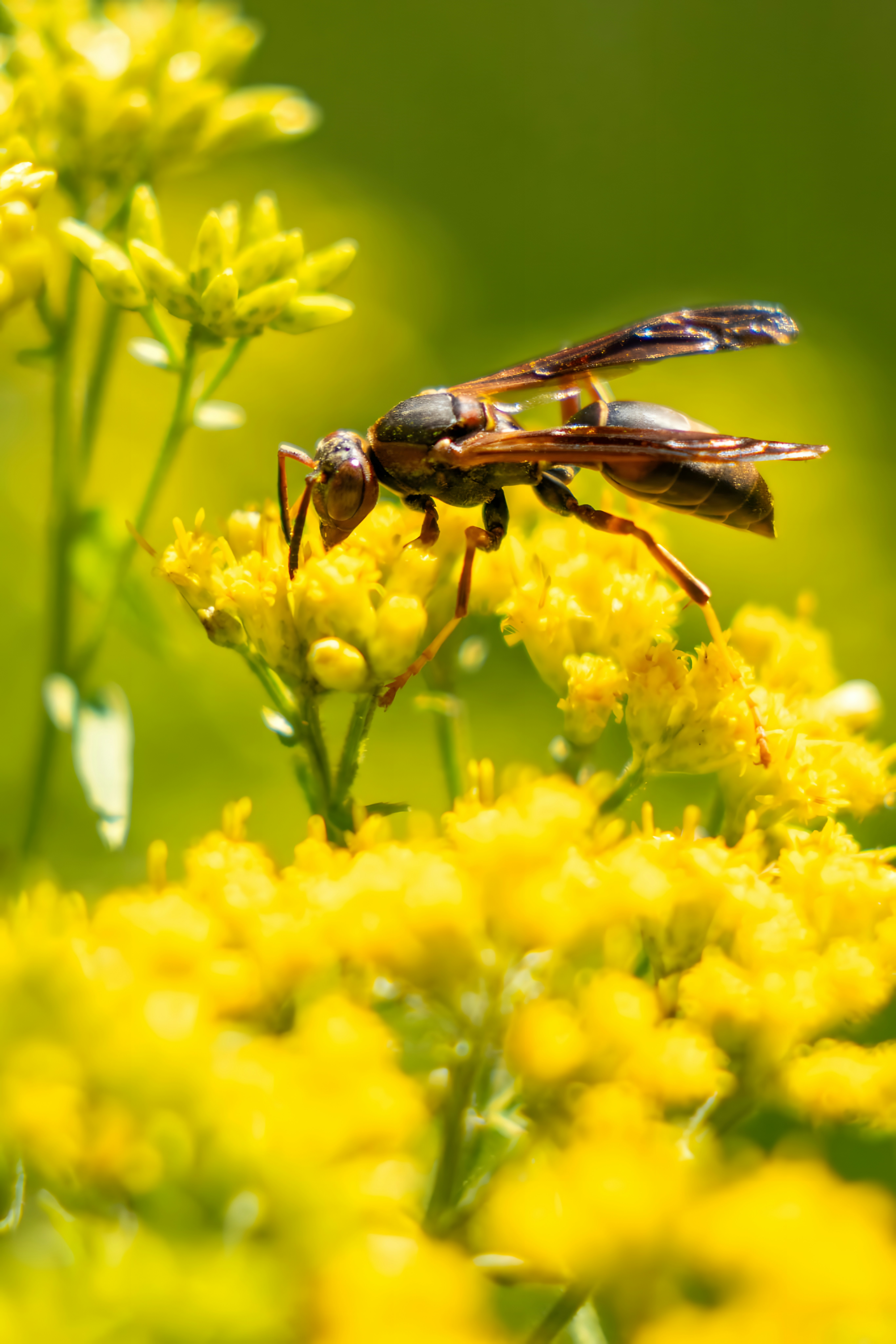 Photo by damiencampbell