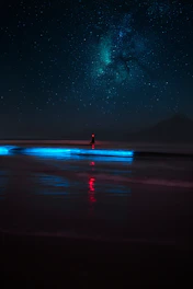 A person standing on a beach under a night sky