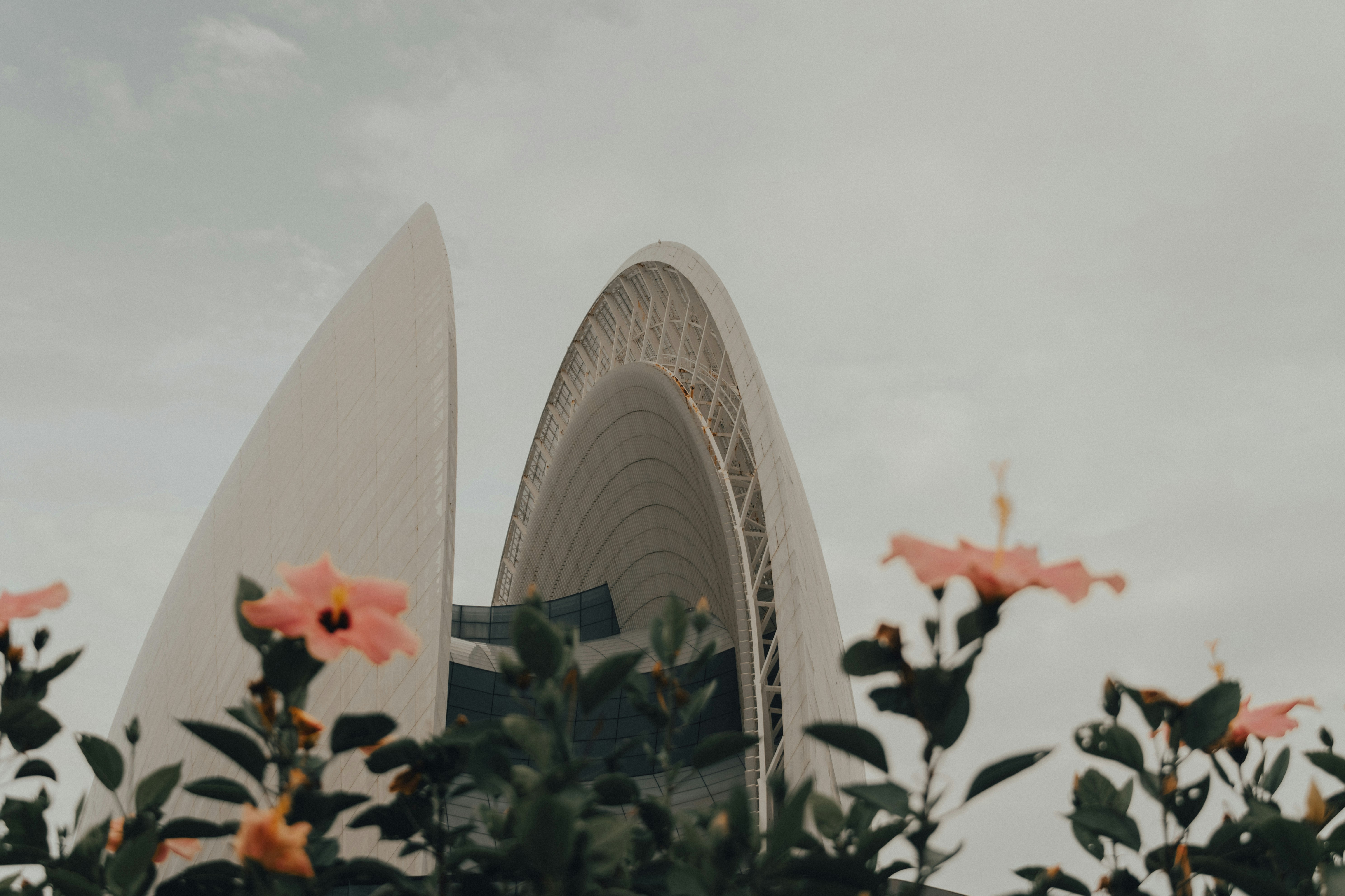 A view of a building with flowers in front of it