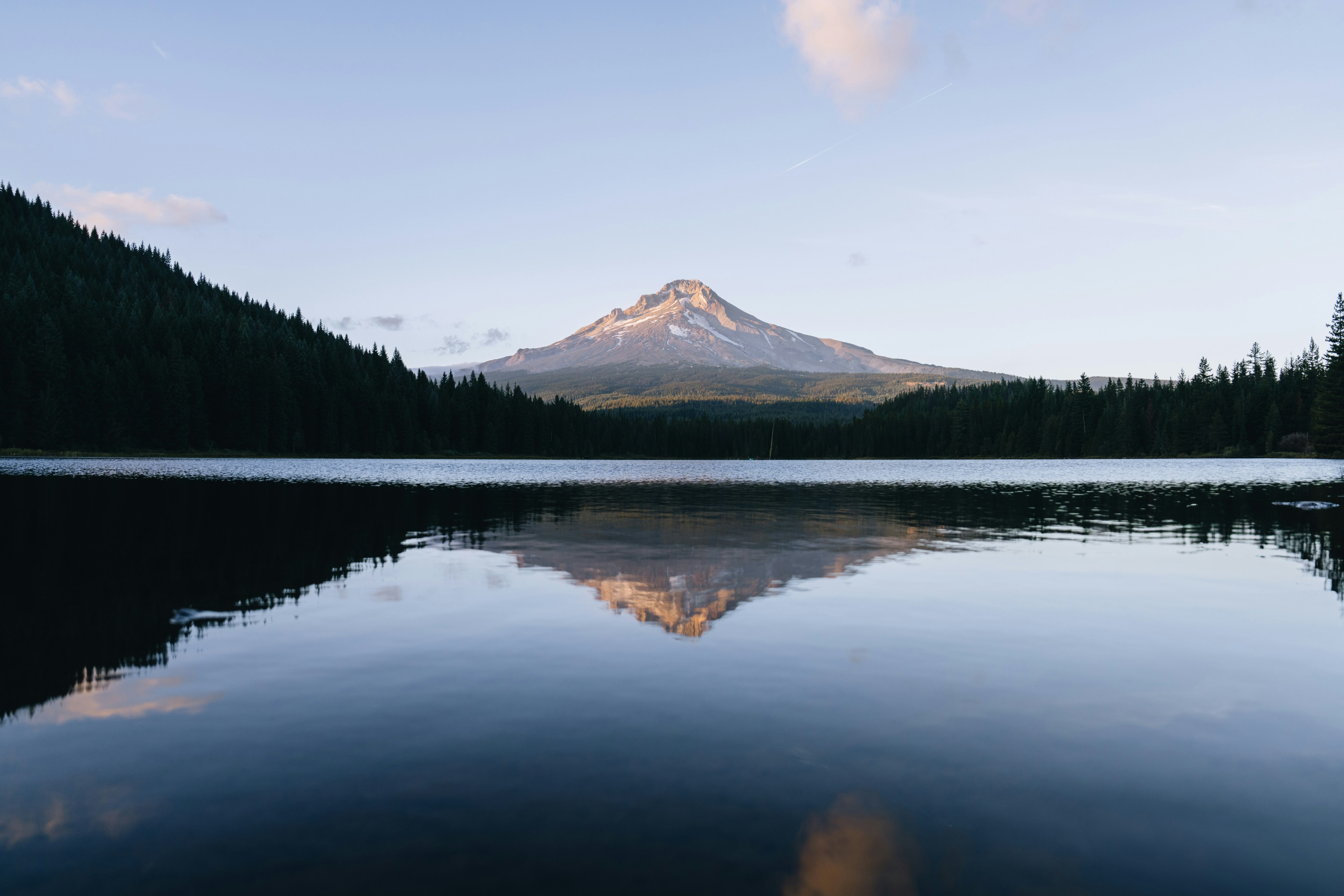 Photo by lifeof_peter_