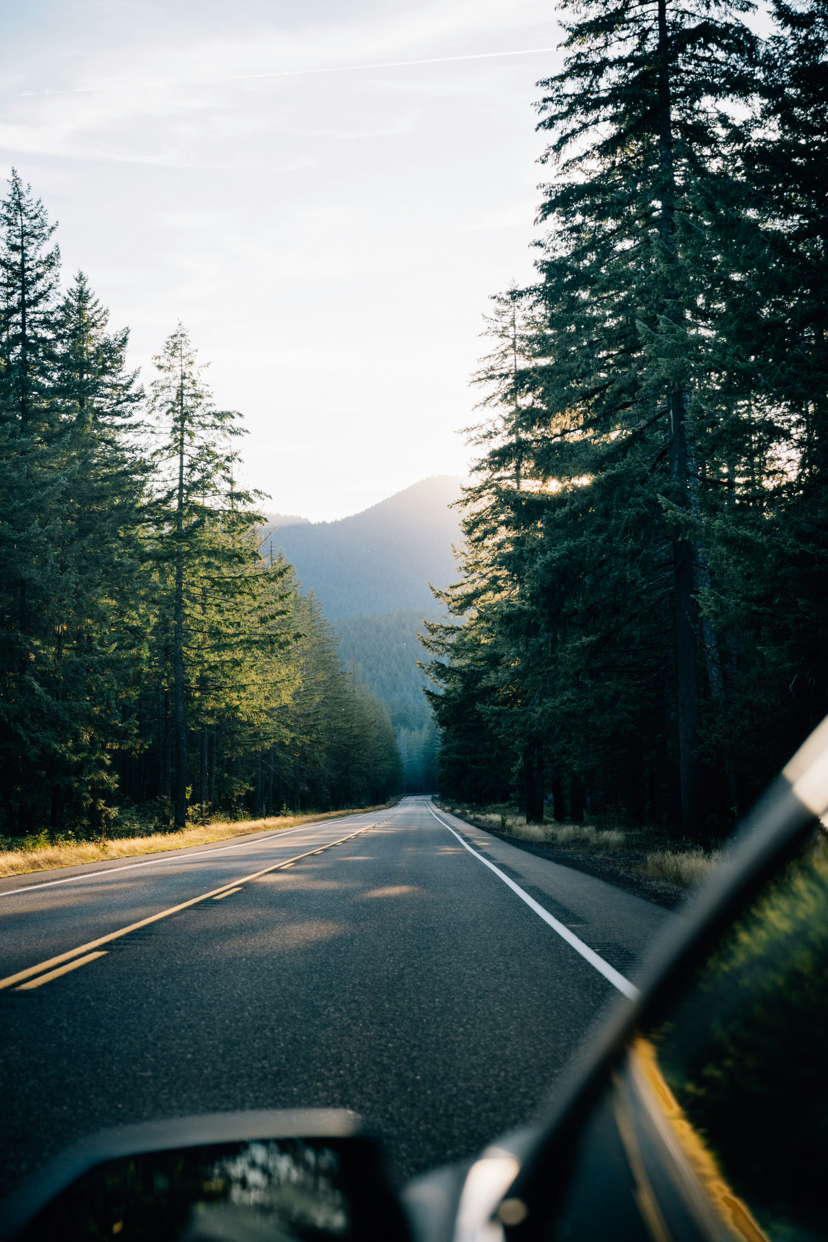 Photo by lifeof_peter_