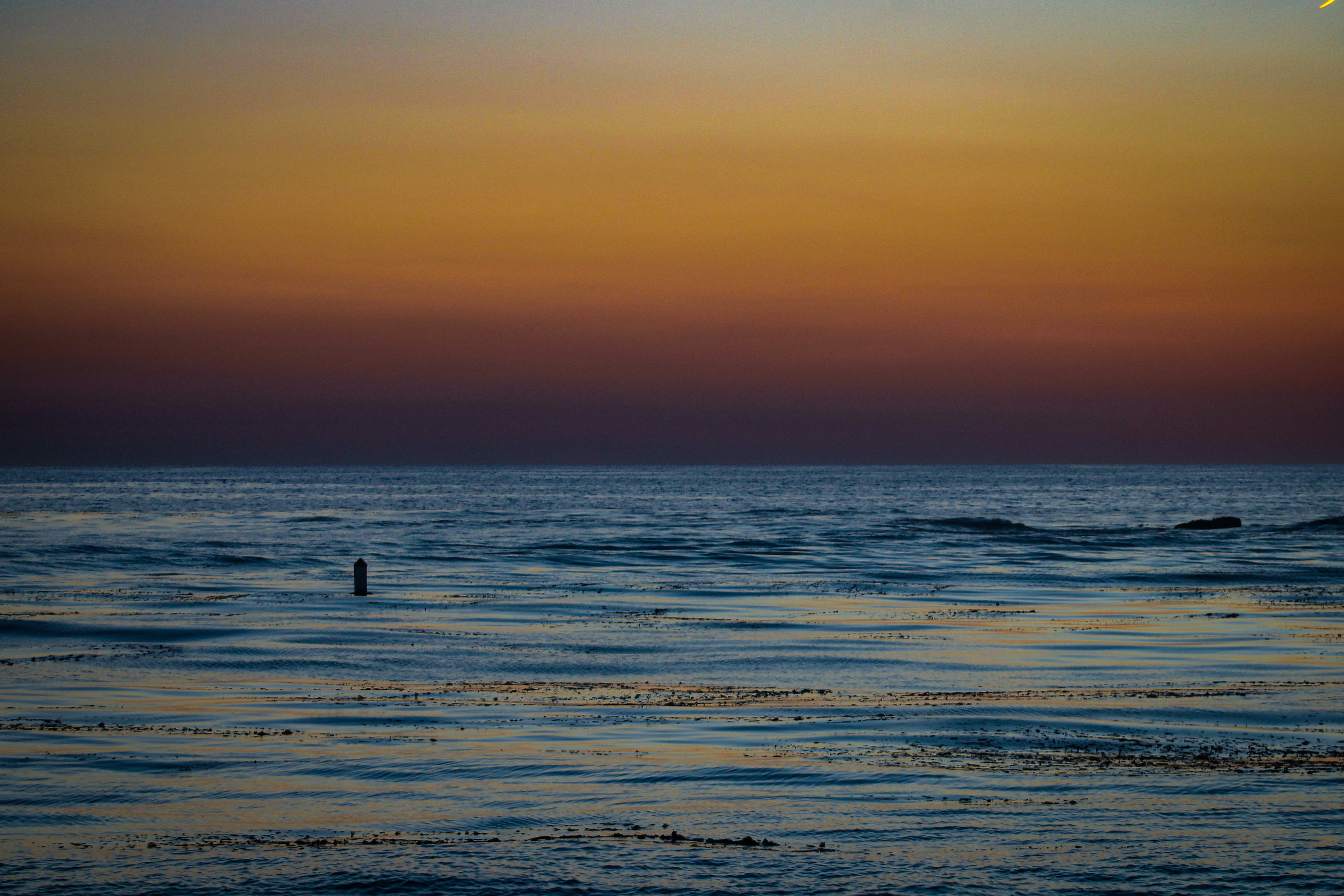 New Hope for MS: Boosting SIRT6 for Nerve Repair