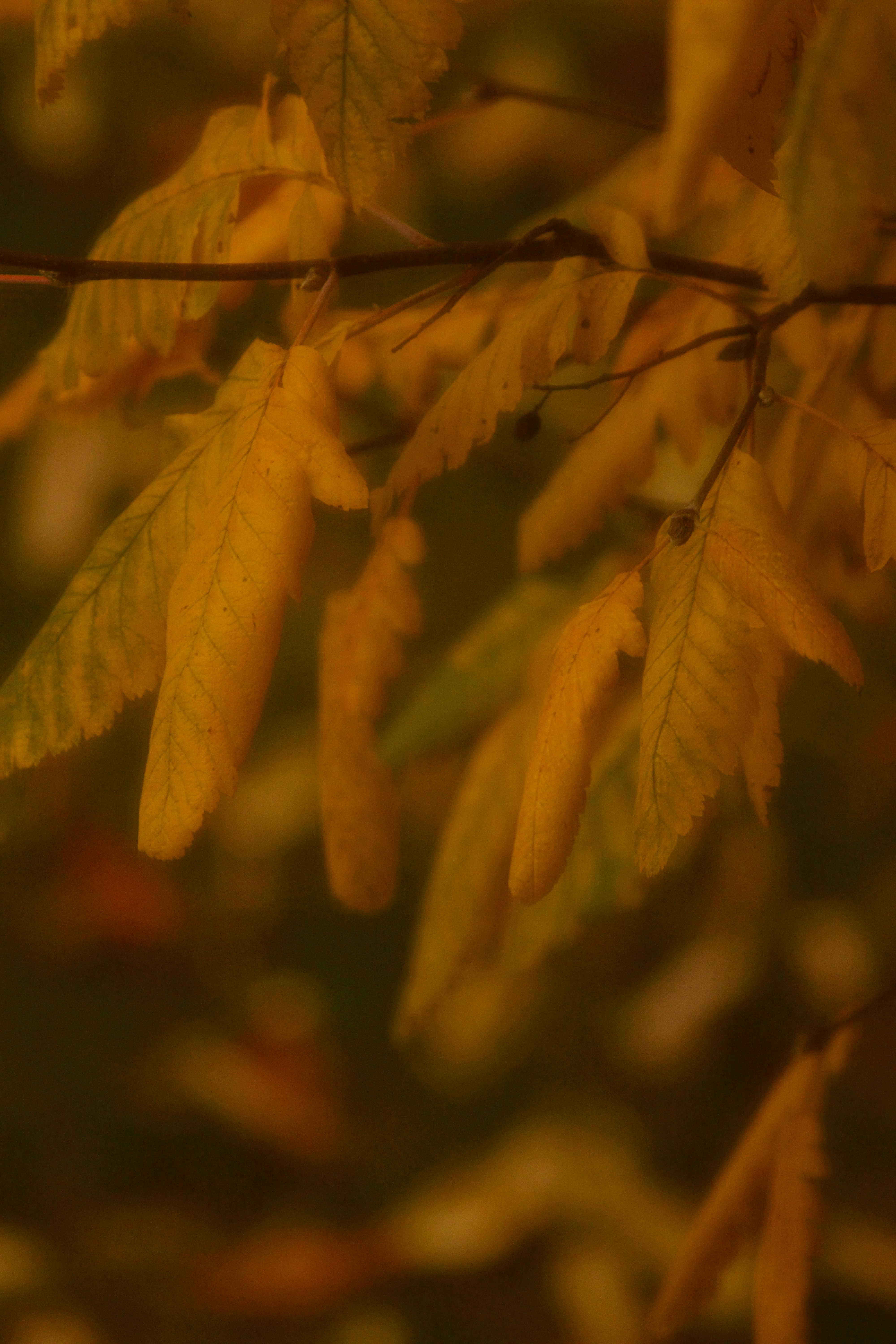 Photo by the_n_stagram