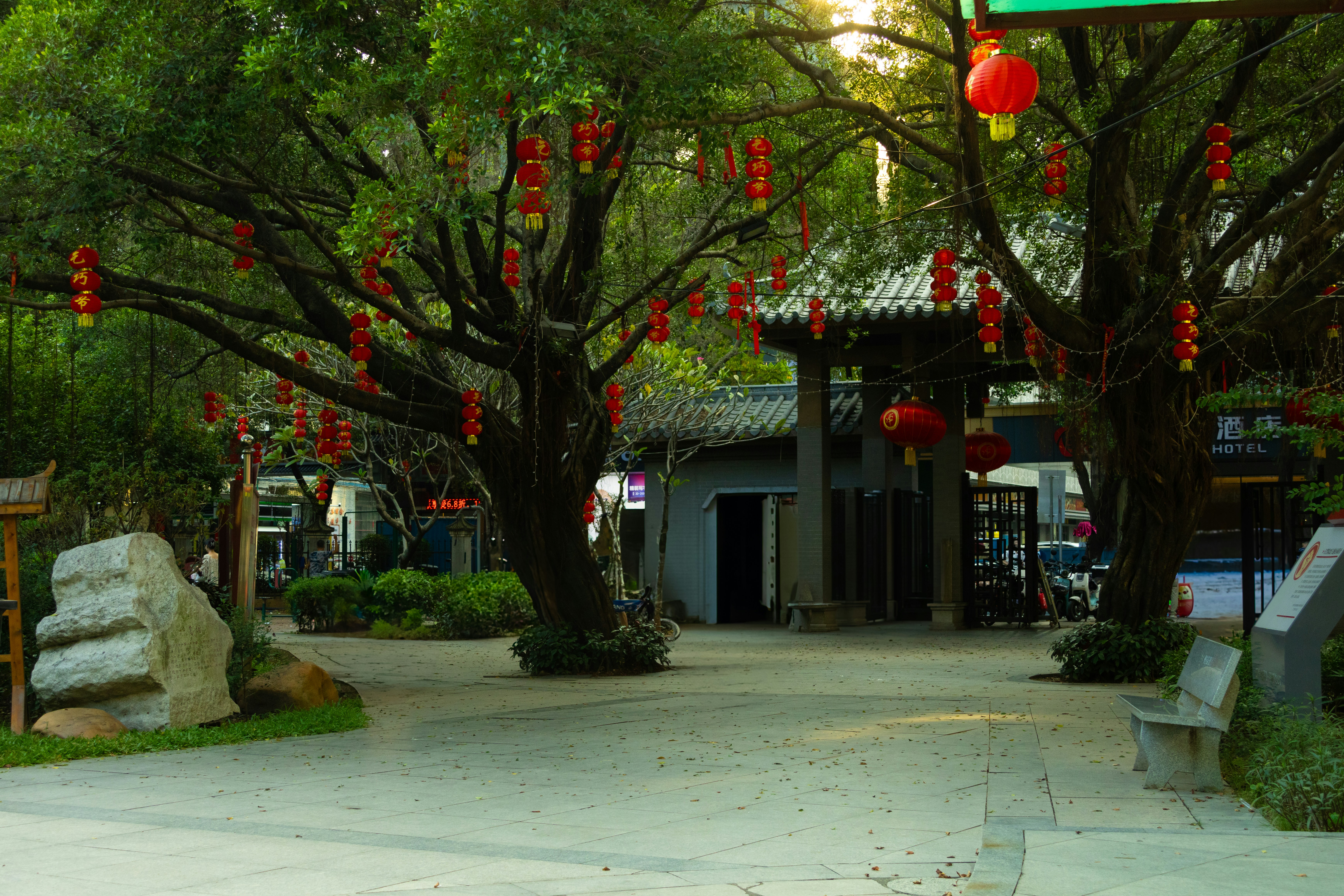 A street with a lot of trees and signs