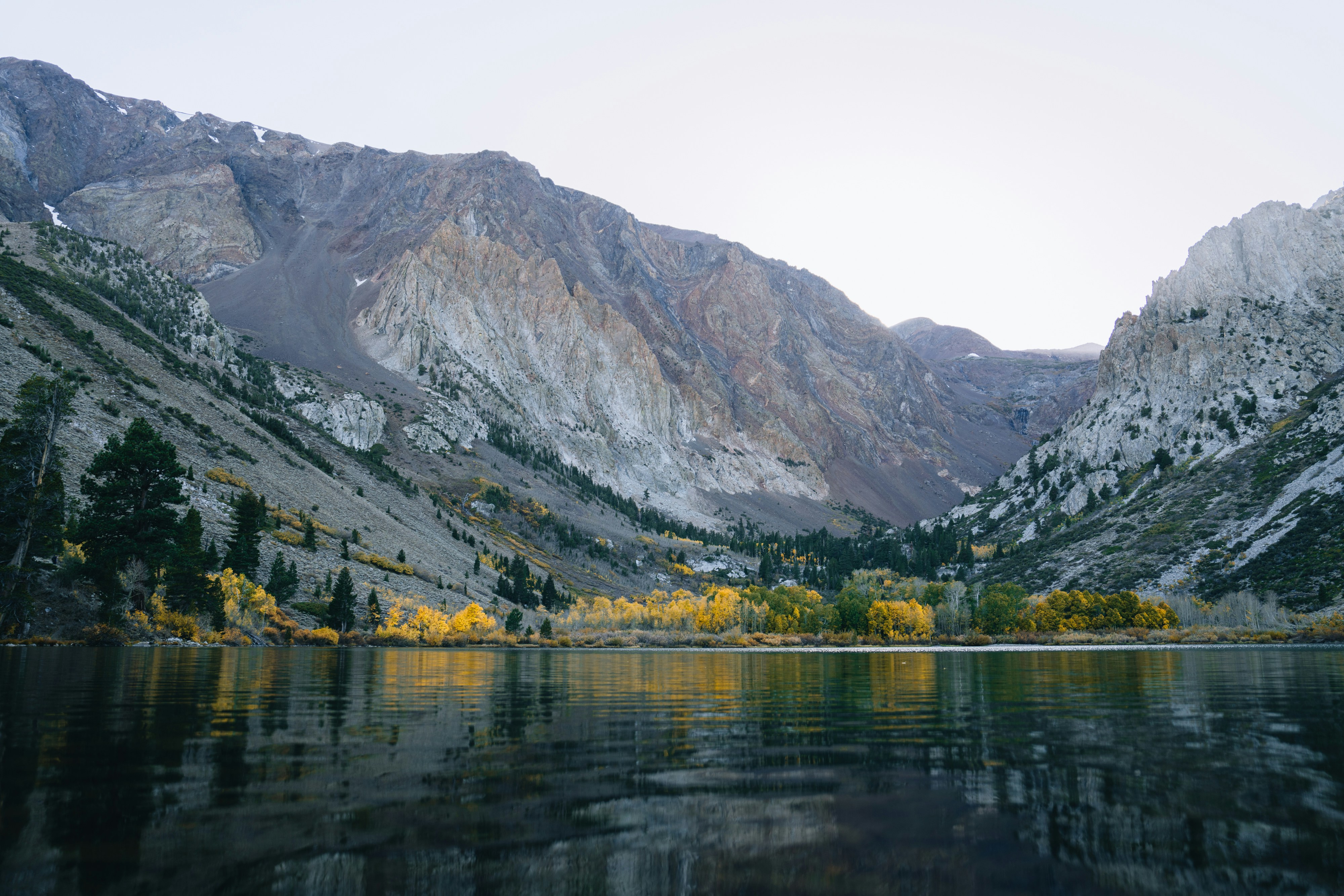 Photo by lifeof_peter_