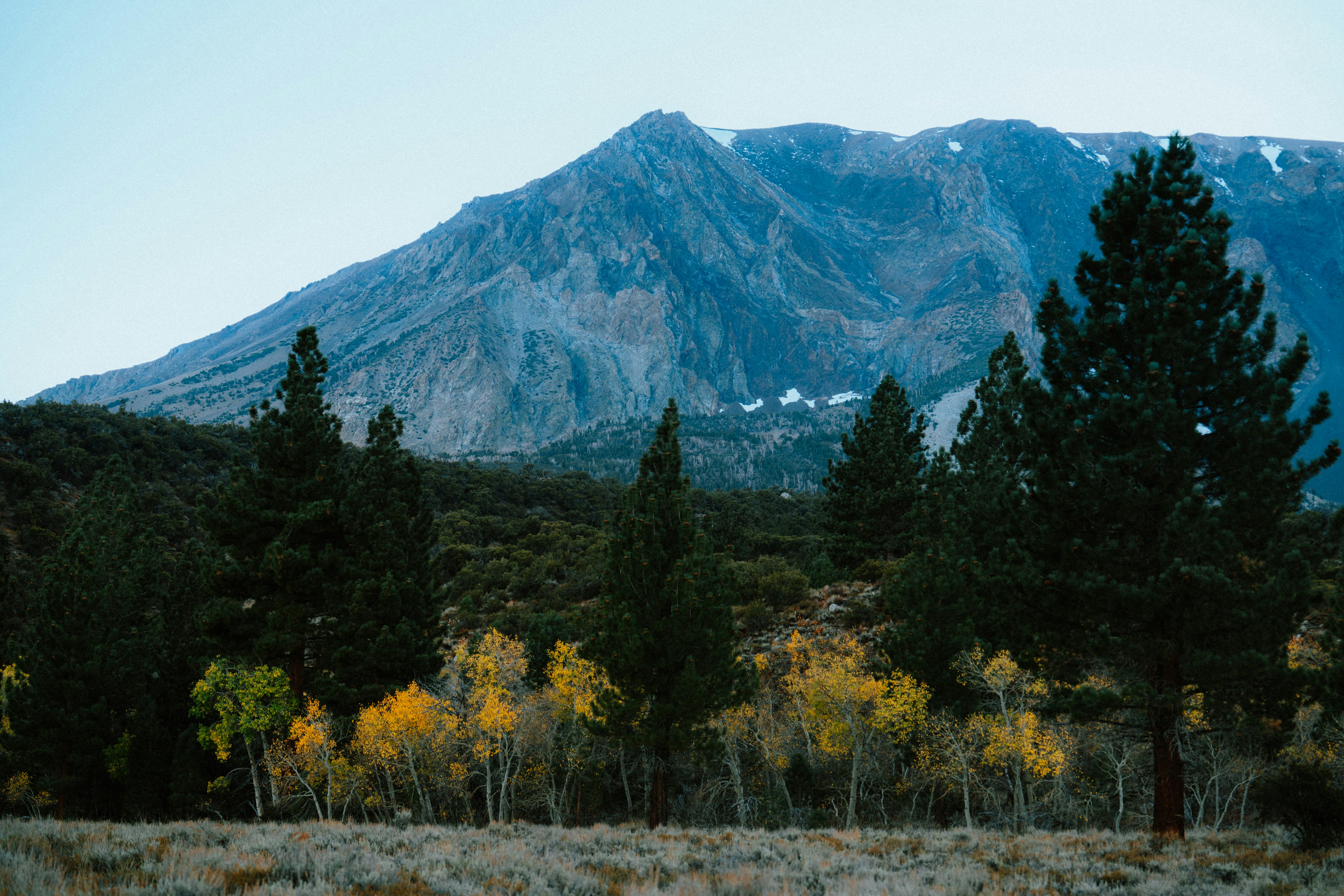 Photo by lifeof_peter_