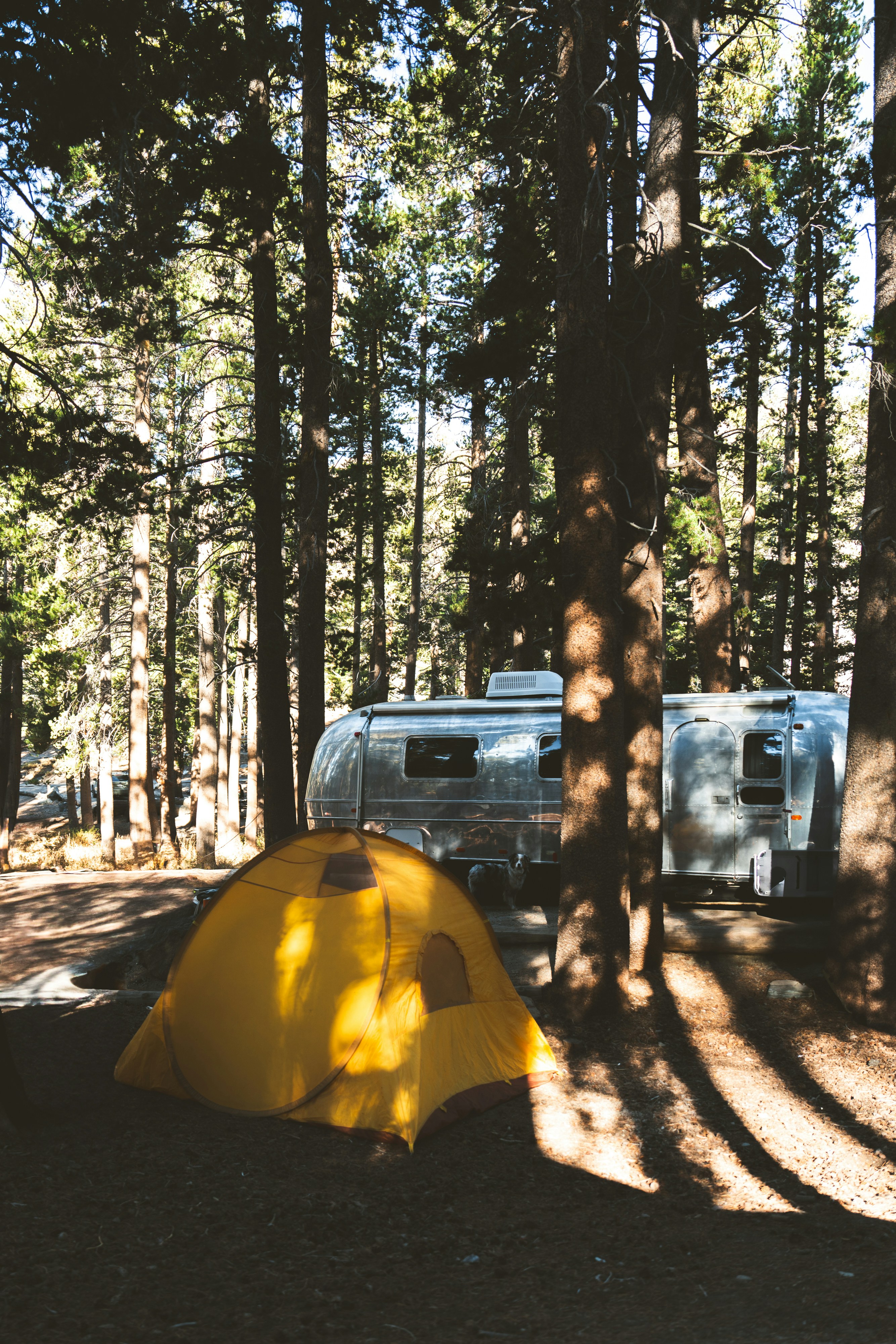 Photo by lifeof_peter_