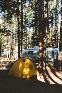 A yellow tent in the middle of a forest