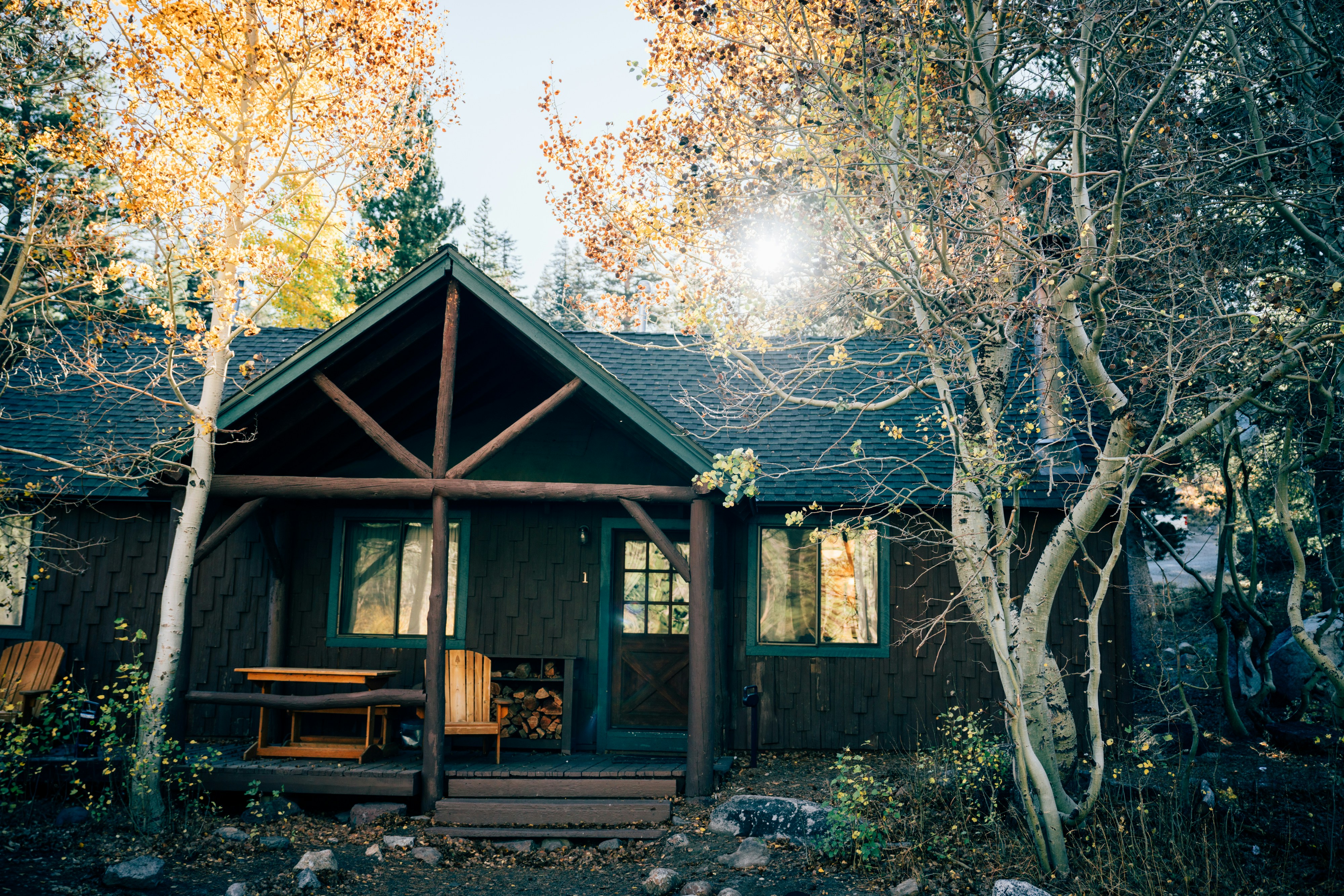 Photo by lifeof_peter_