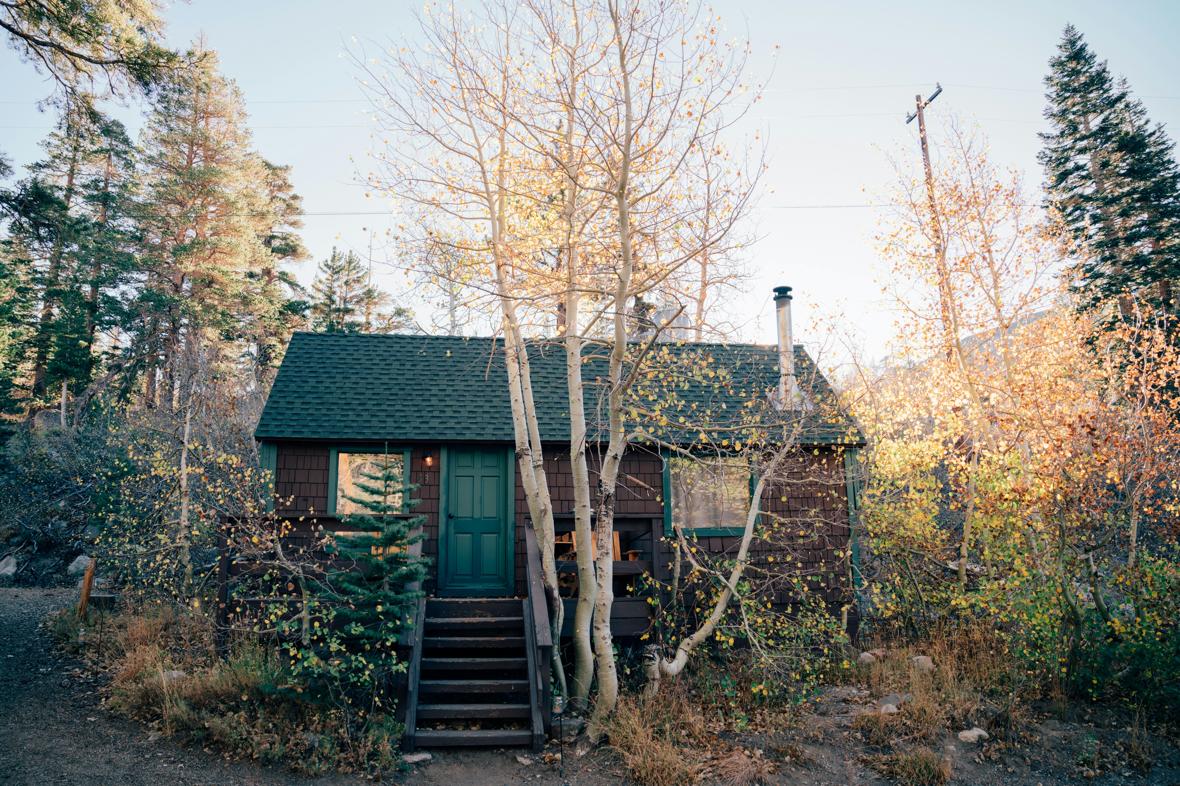 Photo by lifeof_peter_