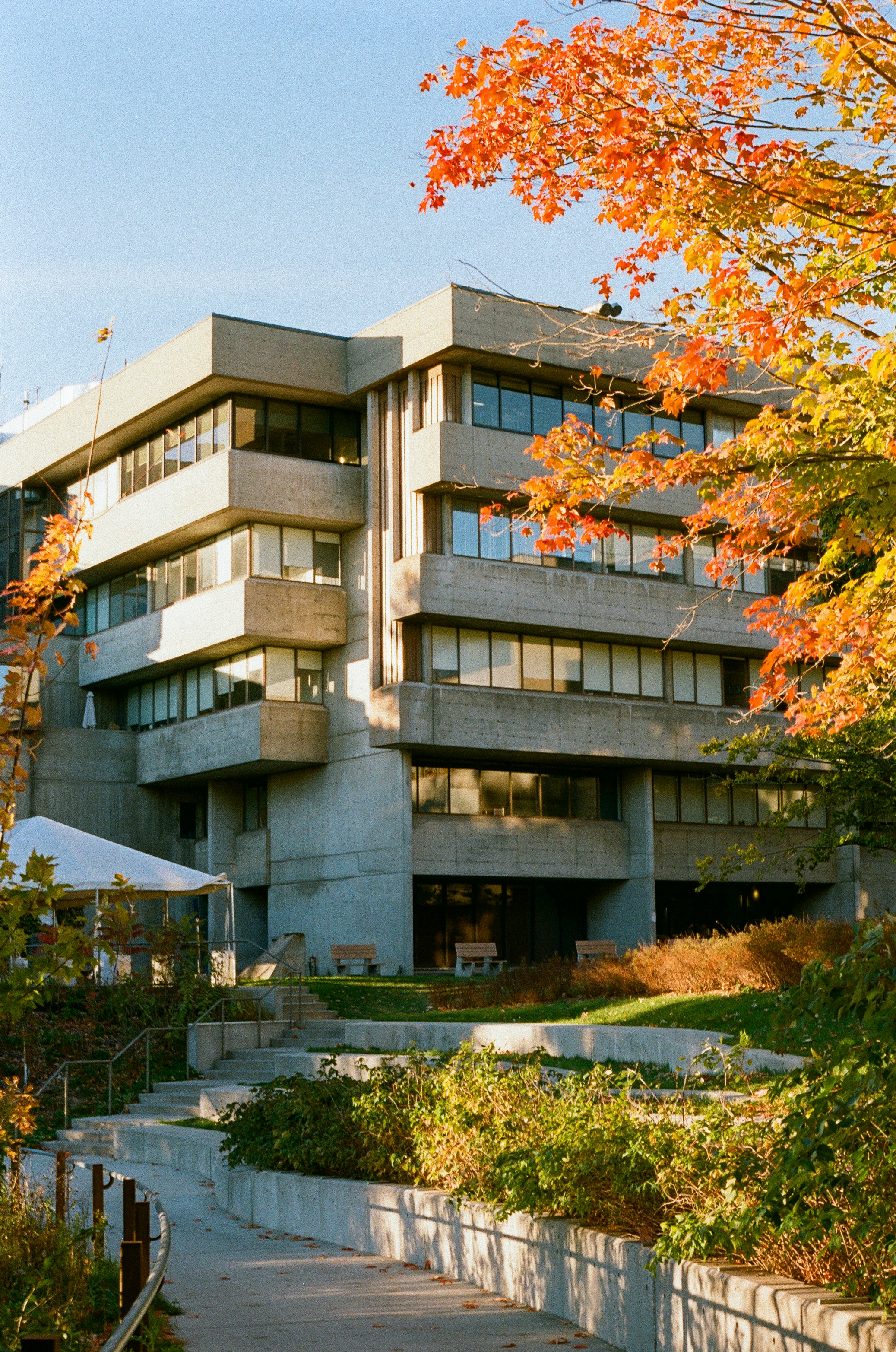 A tall building with a lot of windows on it