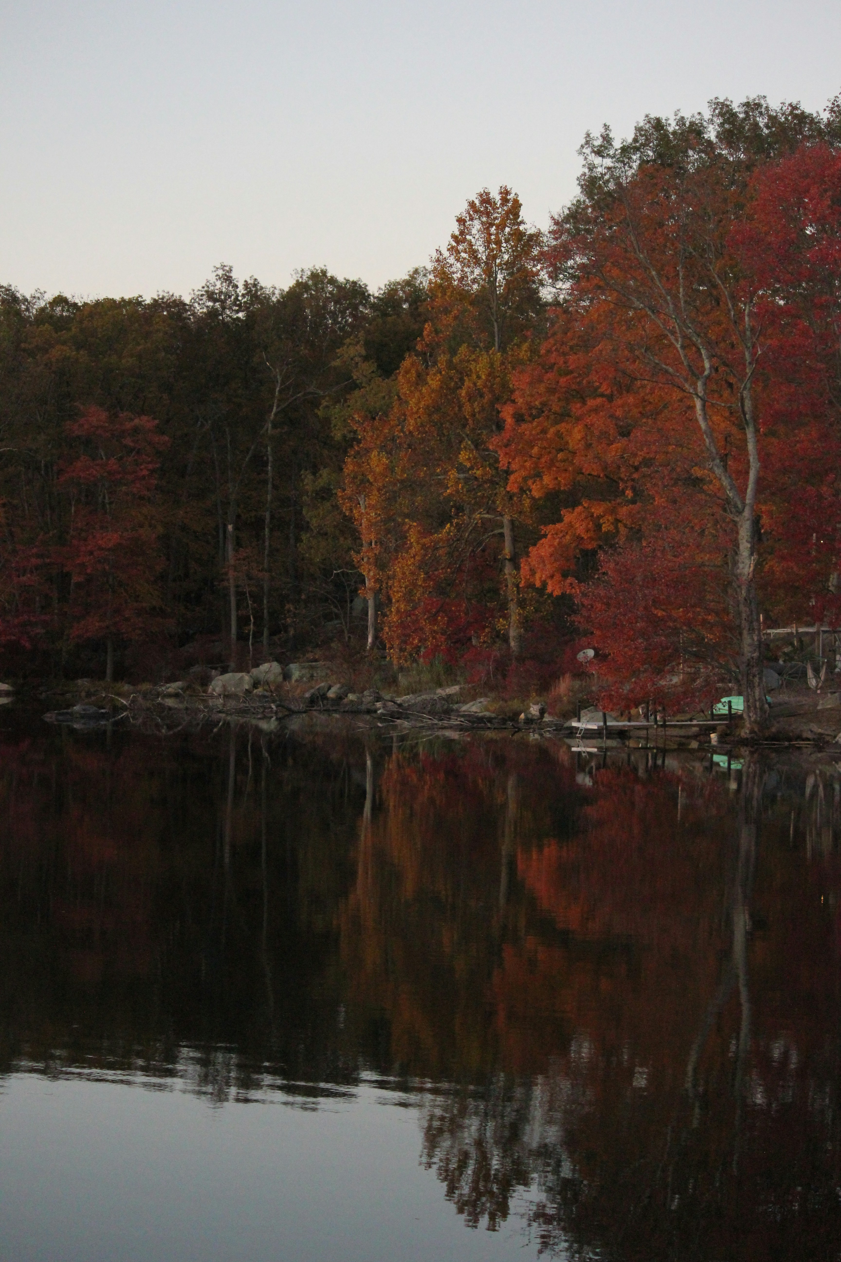 Photo by frolicsomefairy