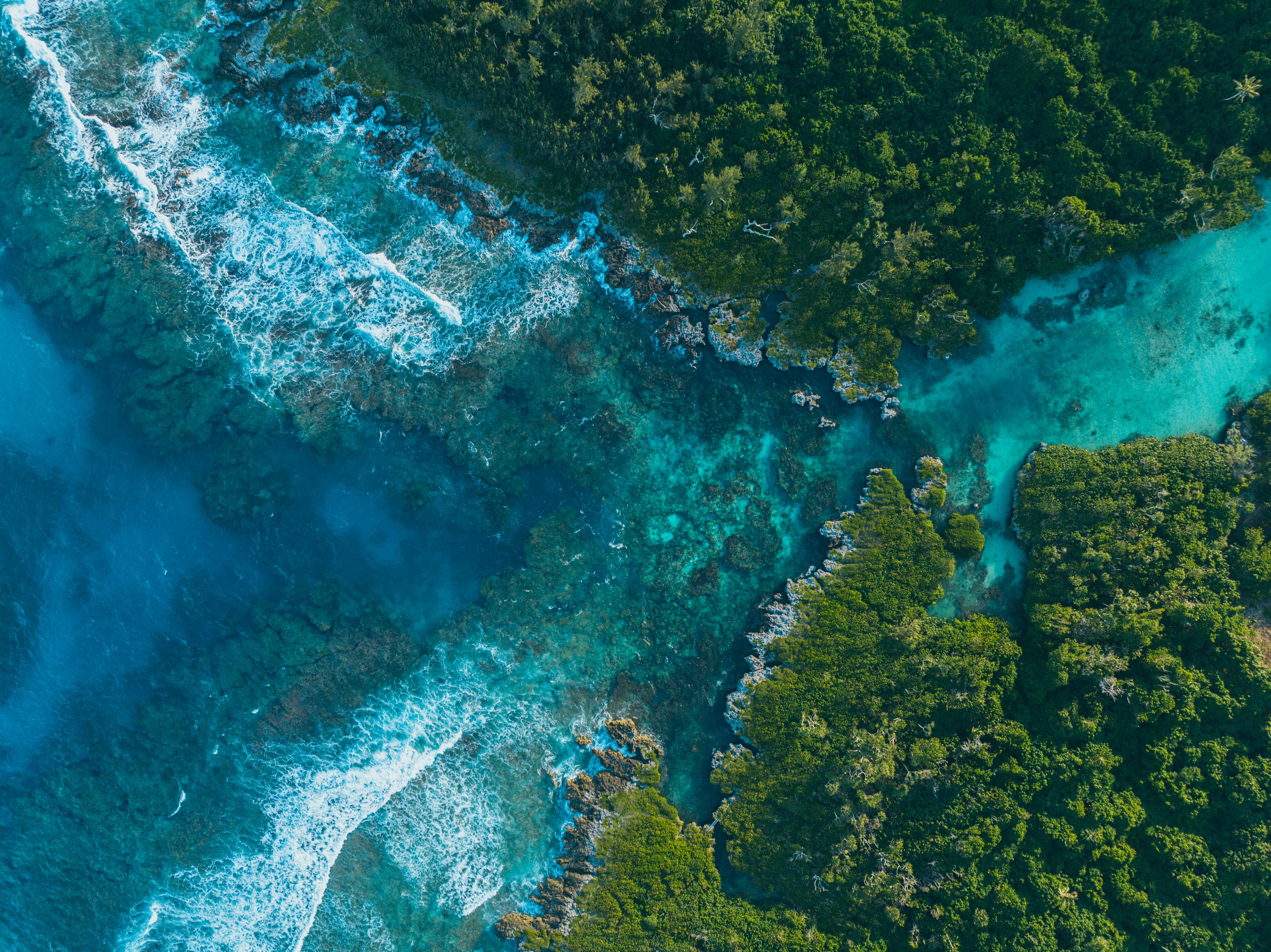 Photo by angus_buchanan