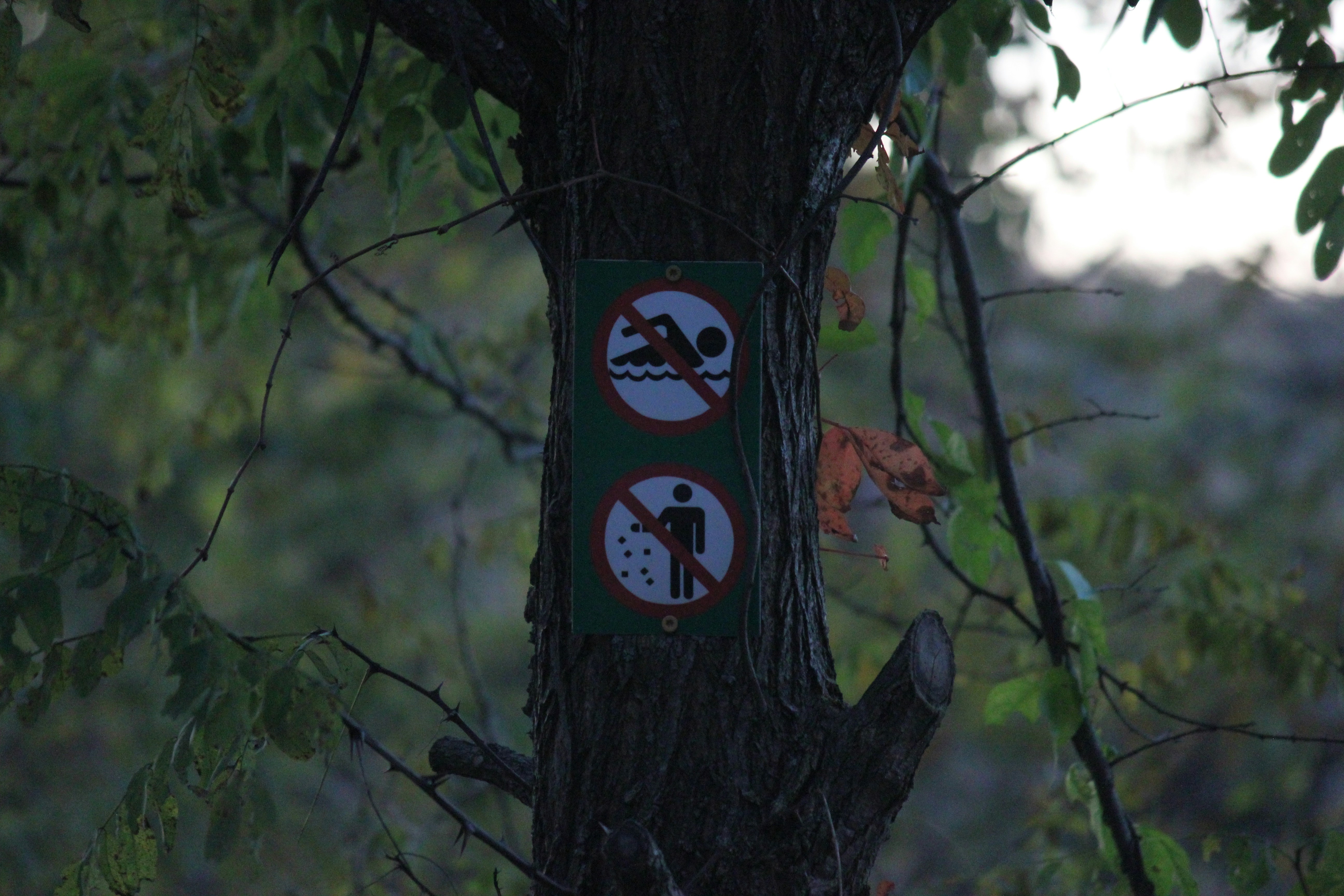 zatürreden korunma yolları