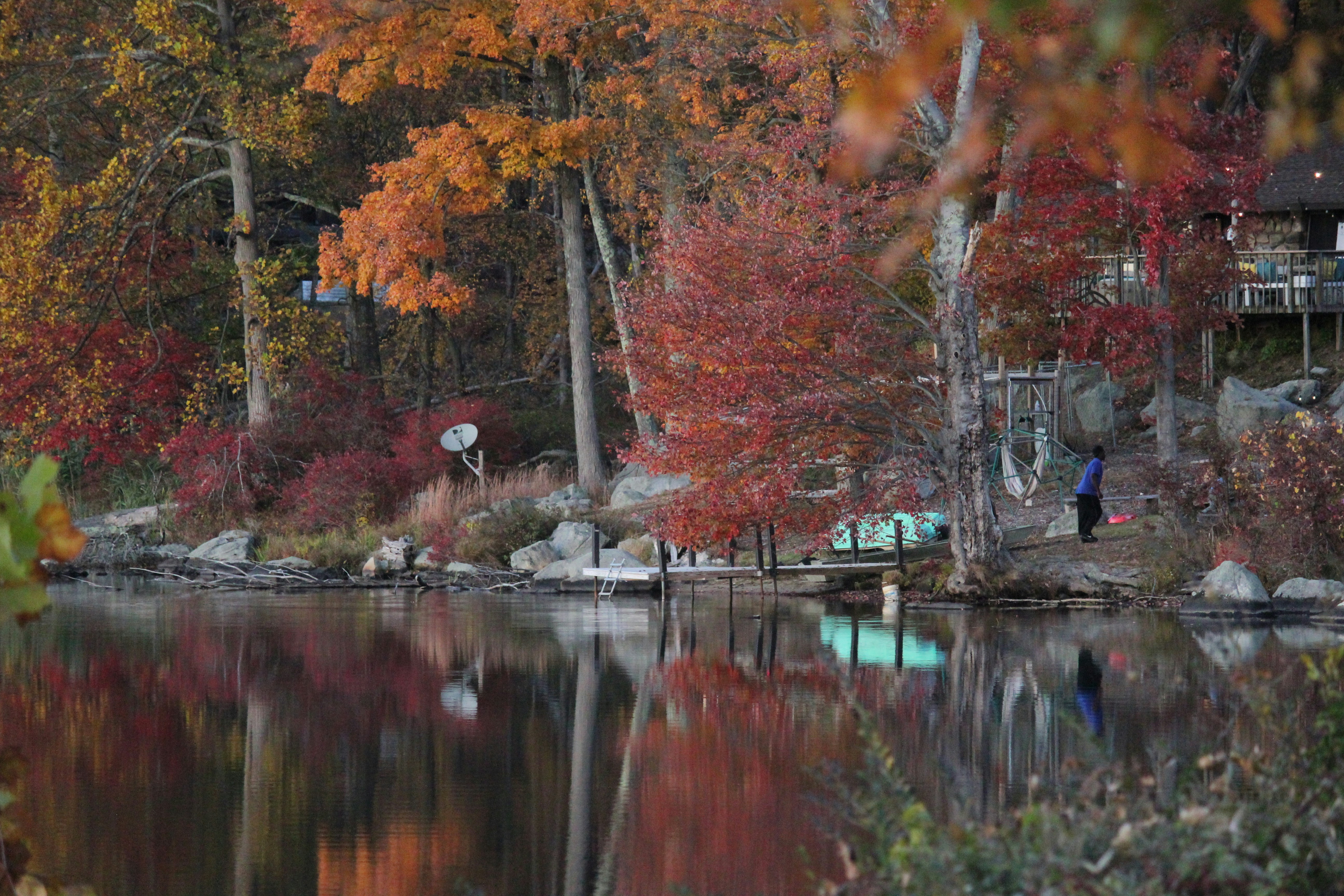 Photo by frolicsomefairy