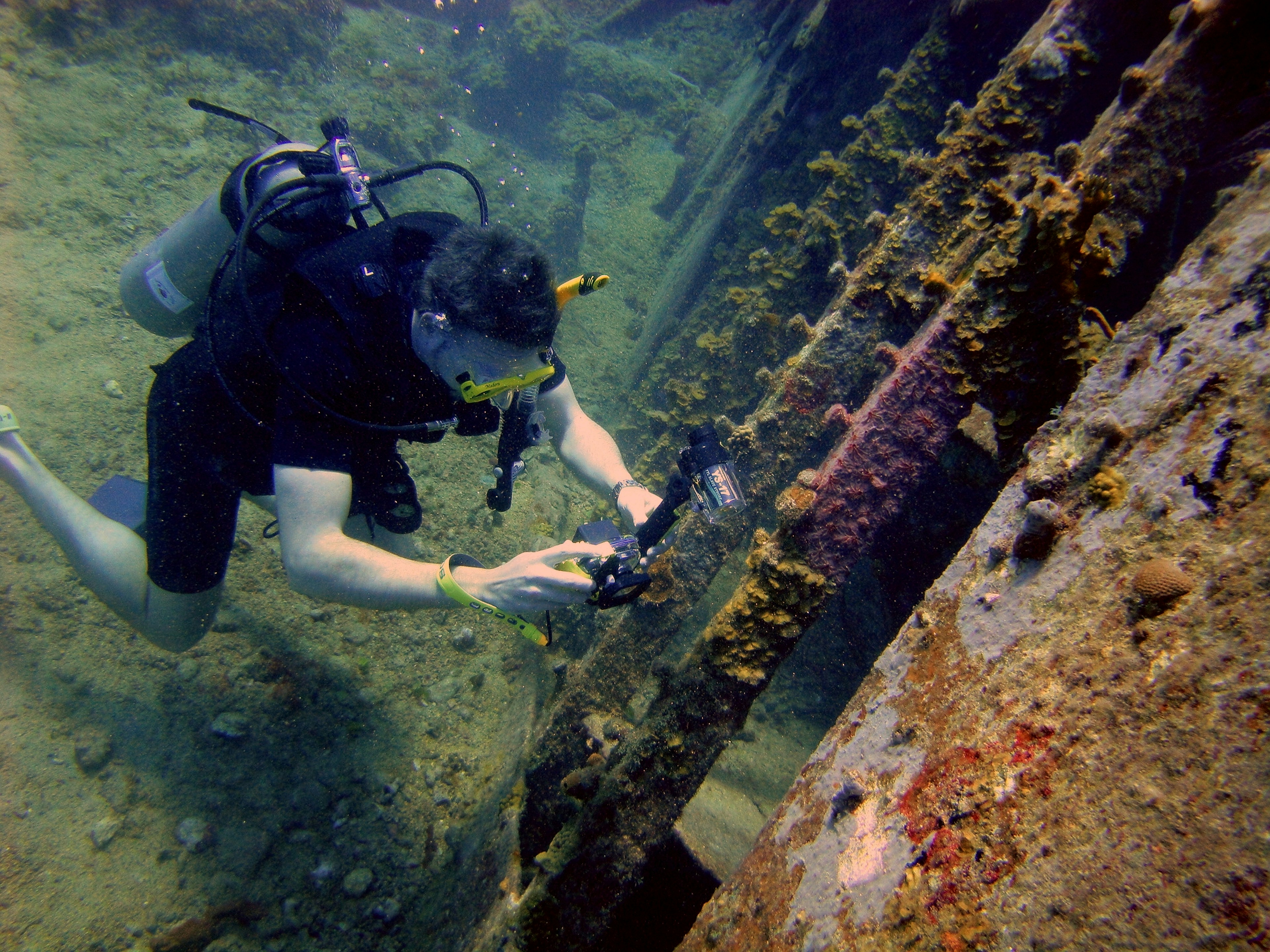 Underwater Archaeological Techniques in Indian Waters (image credits: unsplash)