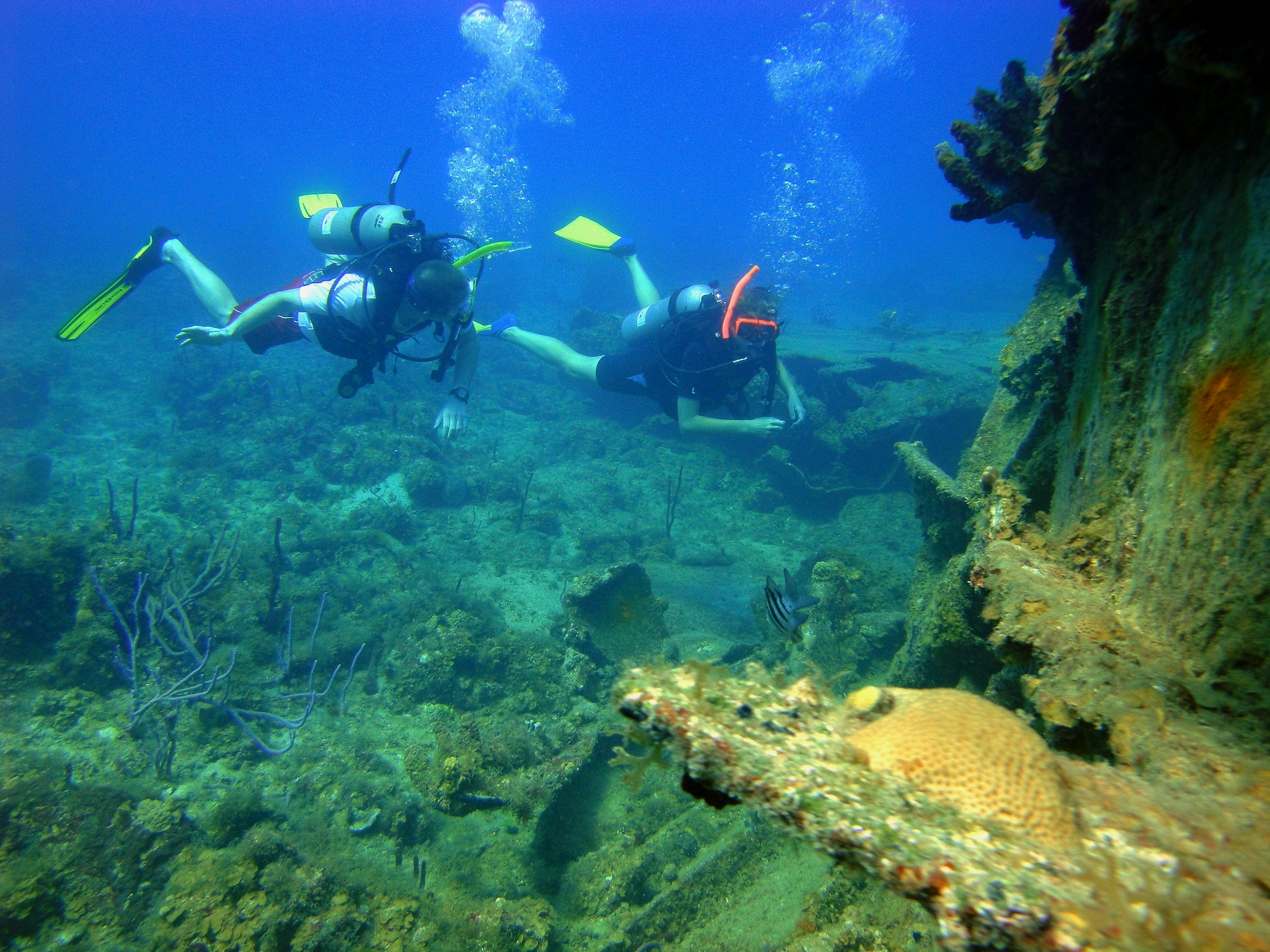 SCUBA divers investigate a coral reef.