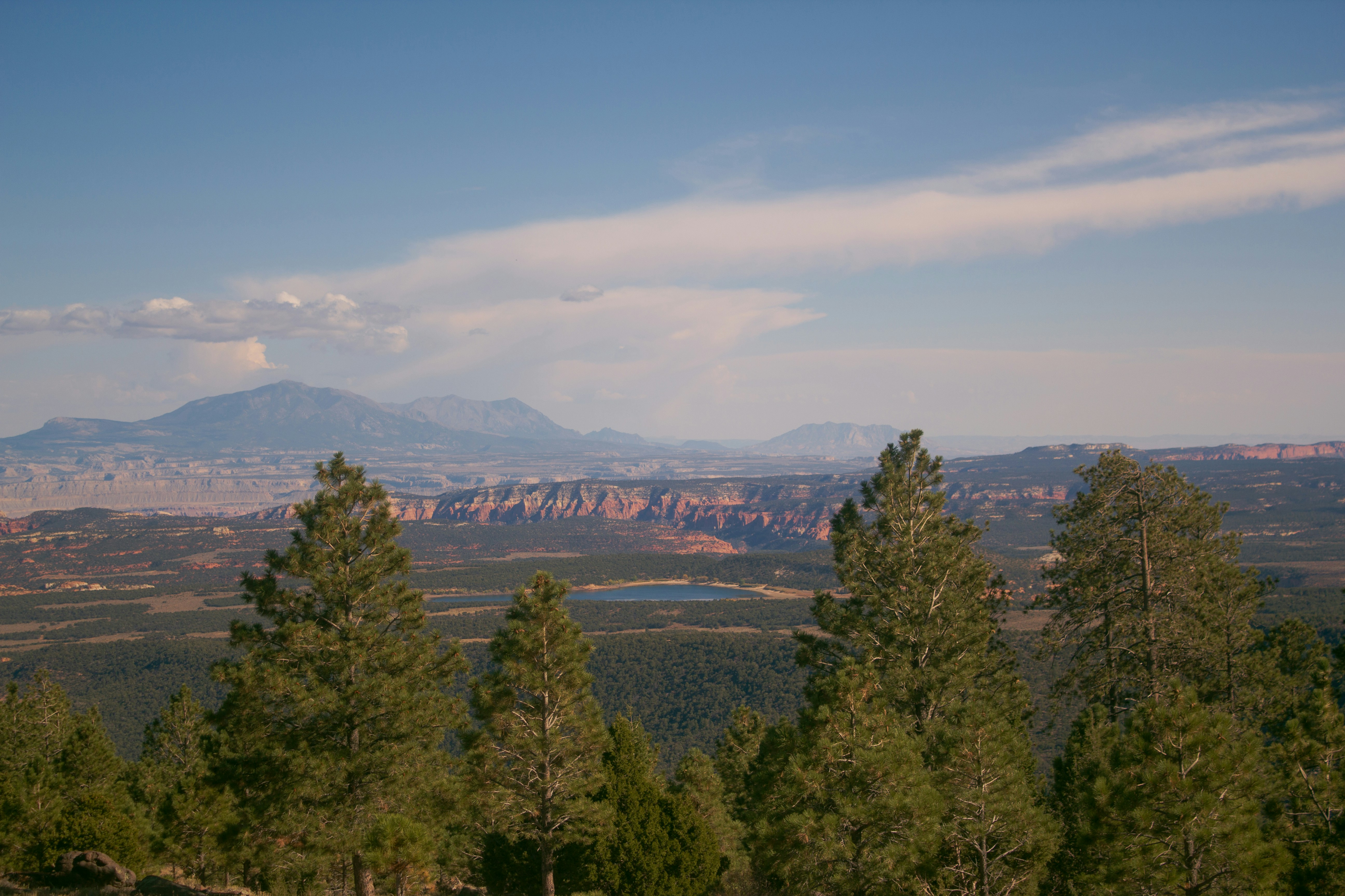 A scenic view of a mountain range with trees in the foreground