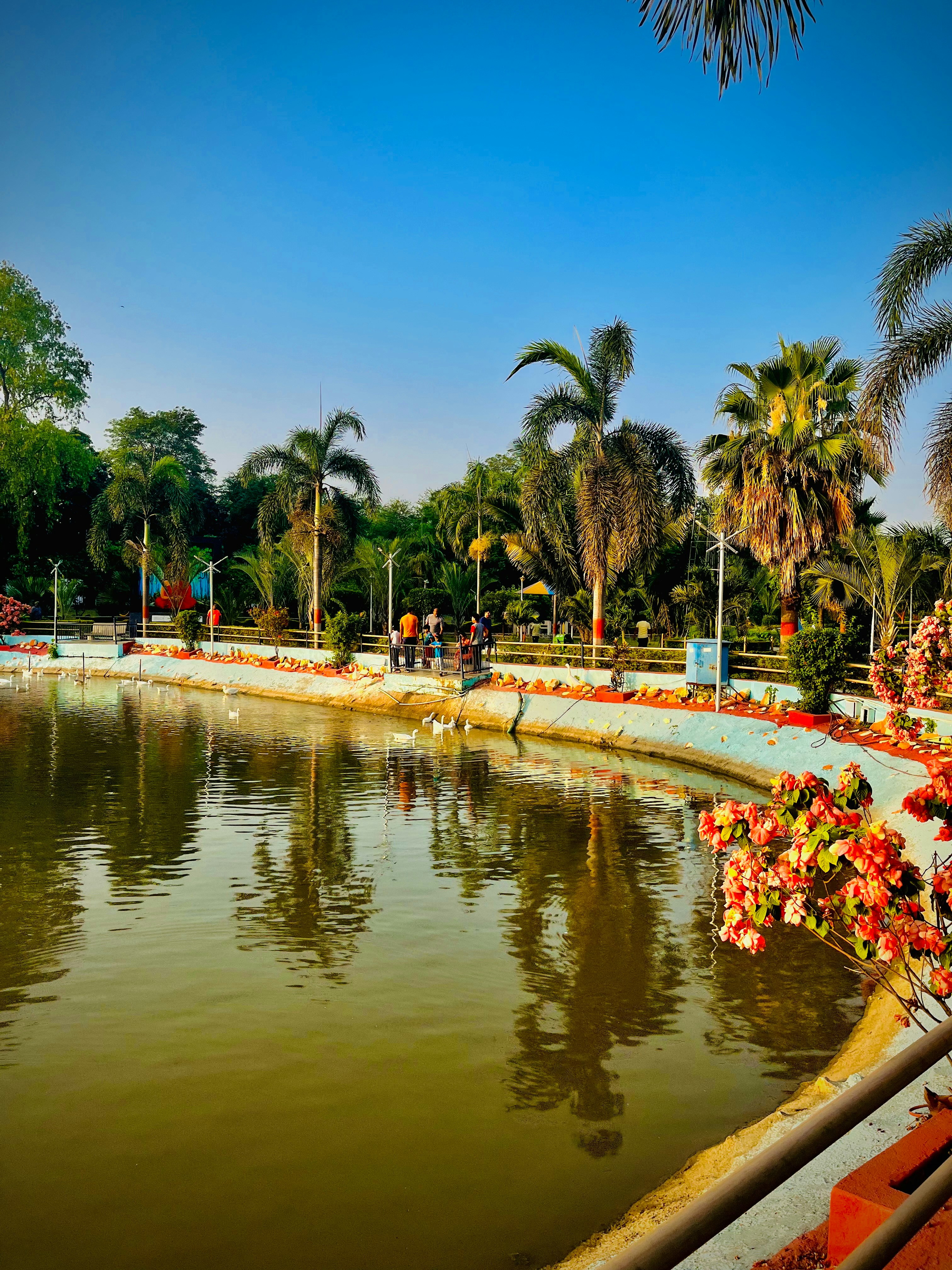 Photo by syedayan077