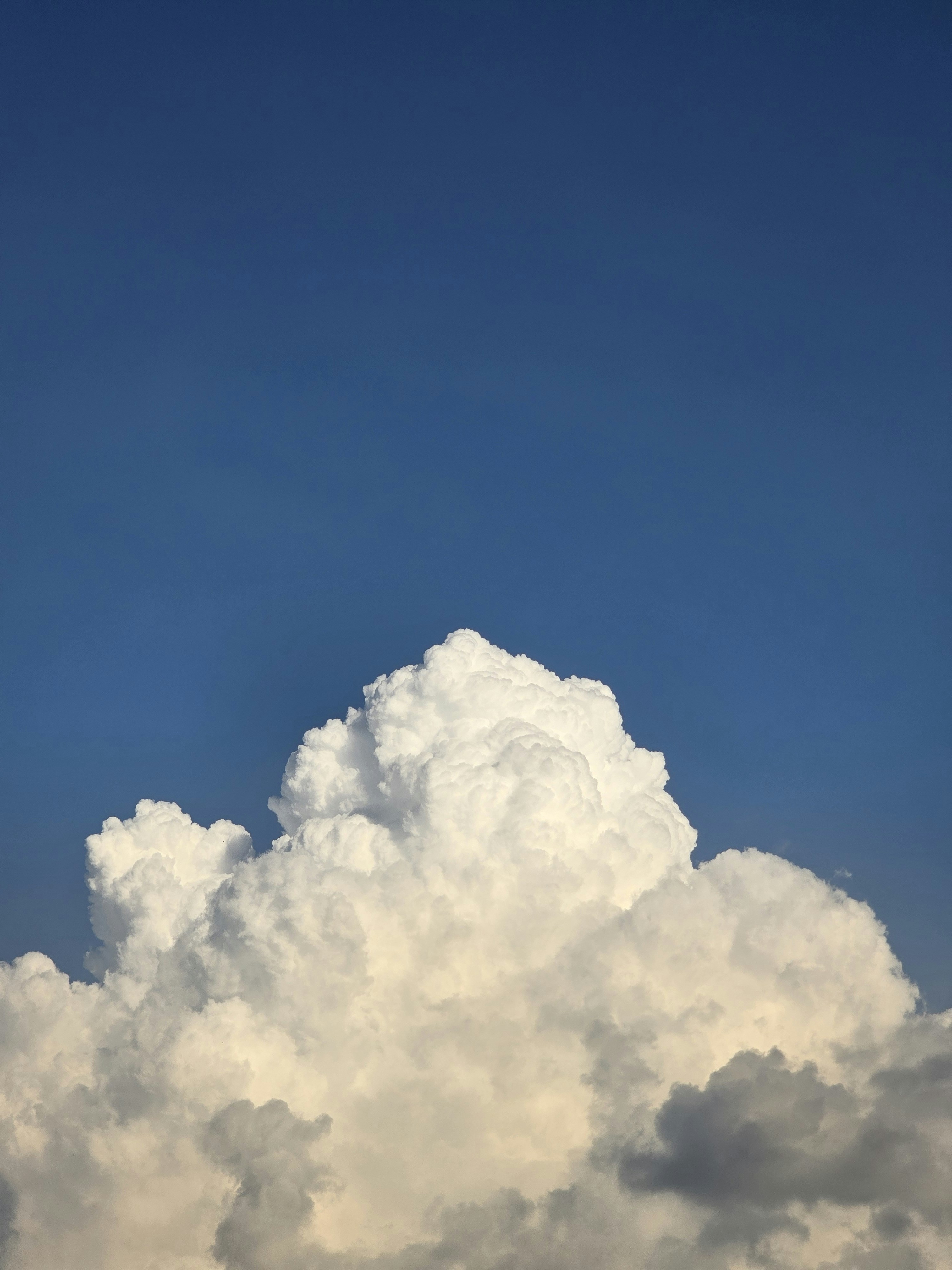 Photo by hoang_khanh199