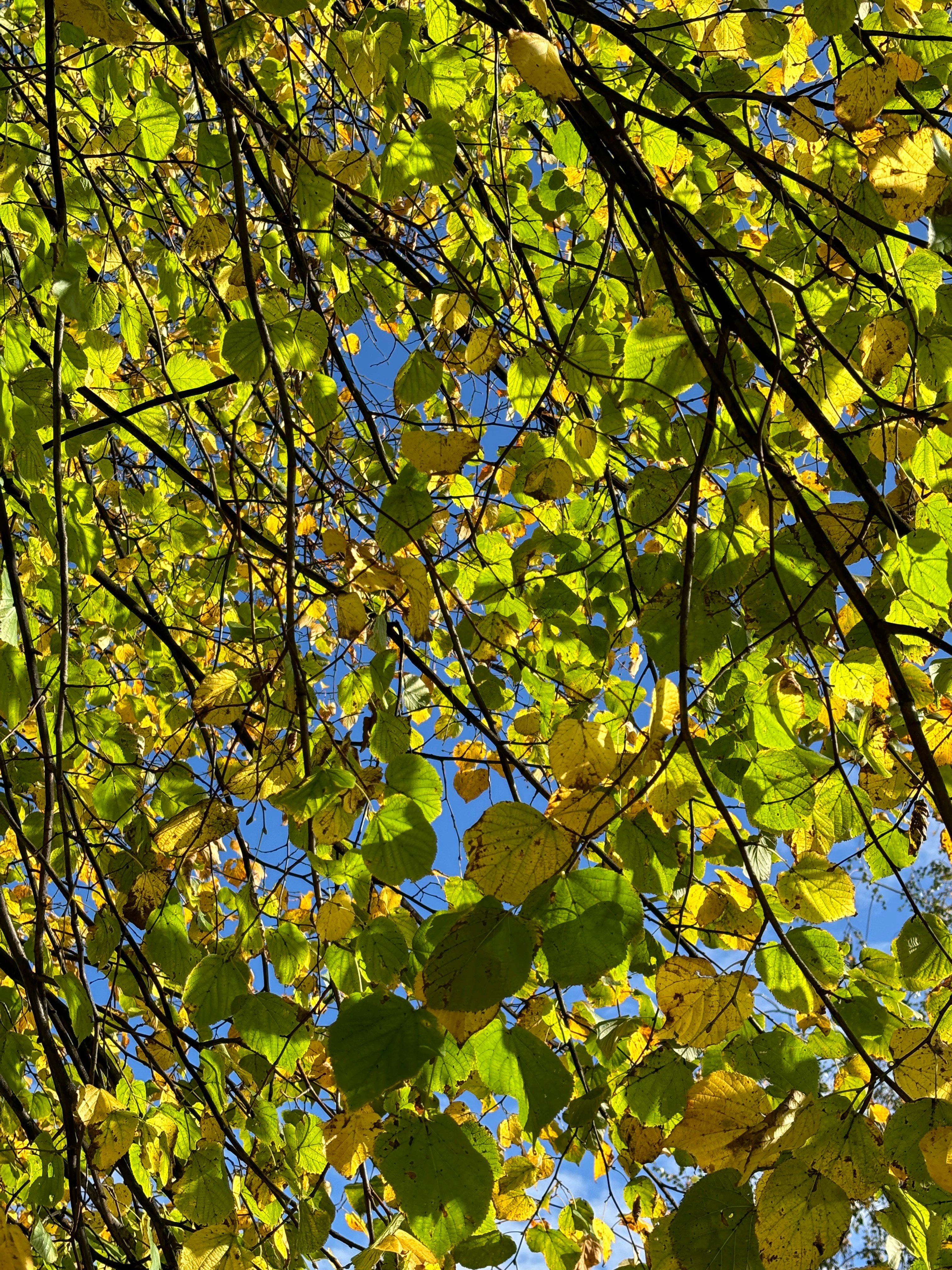 Photo by msmelaniesykes