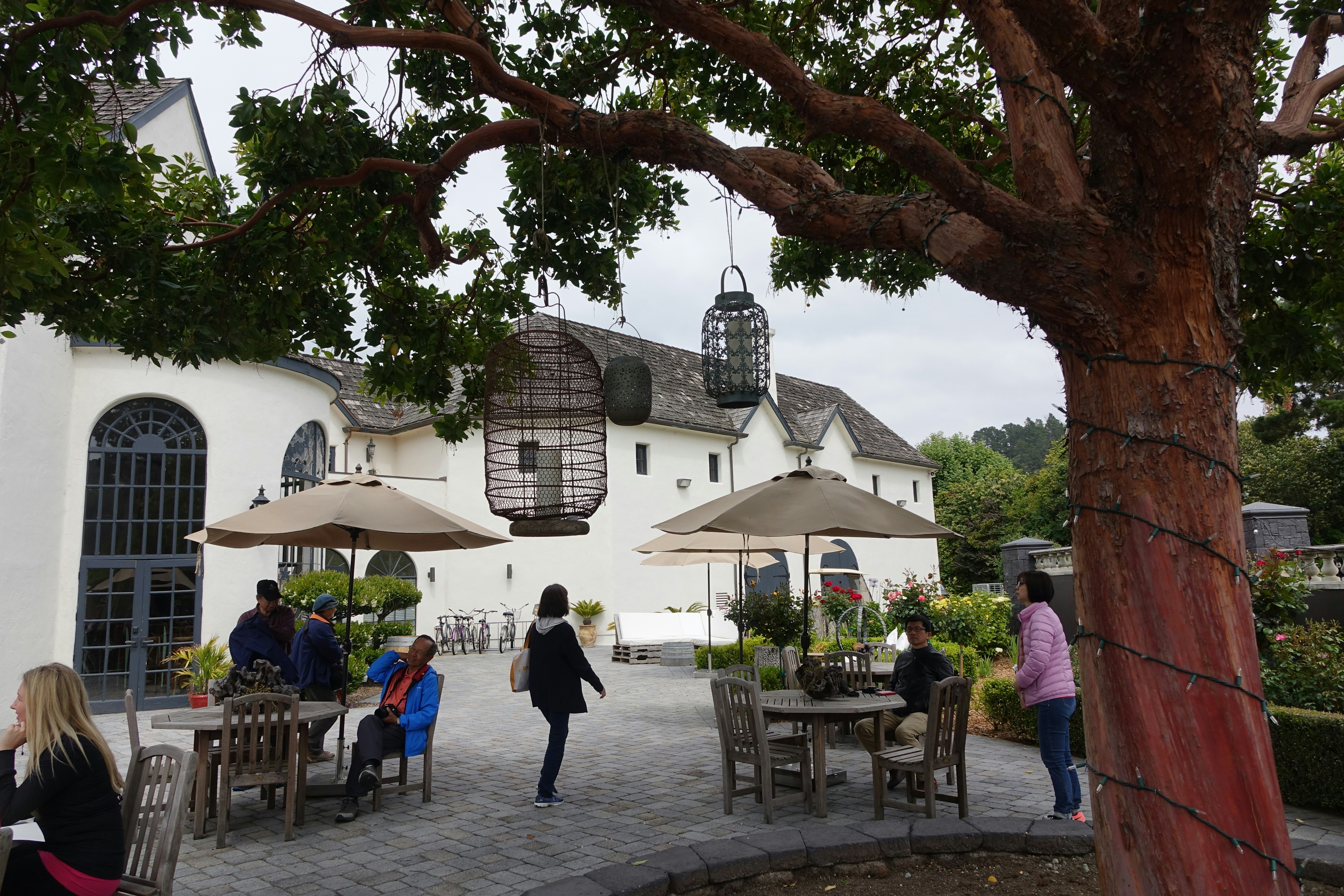 Mosel Valley winemaker vineyard work