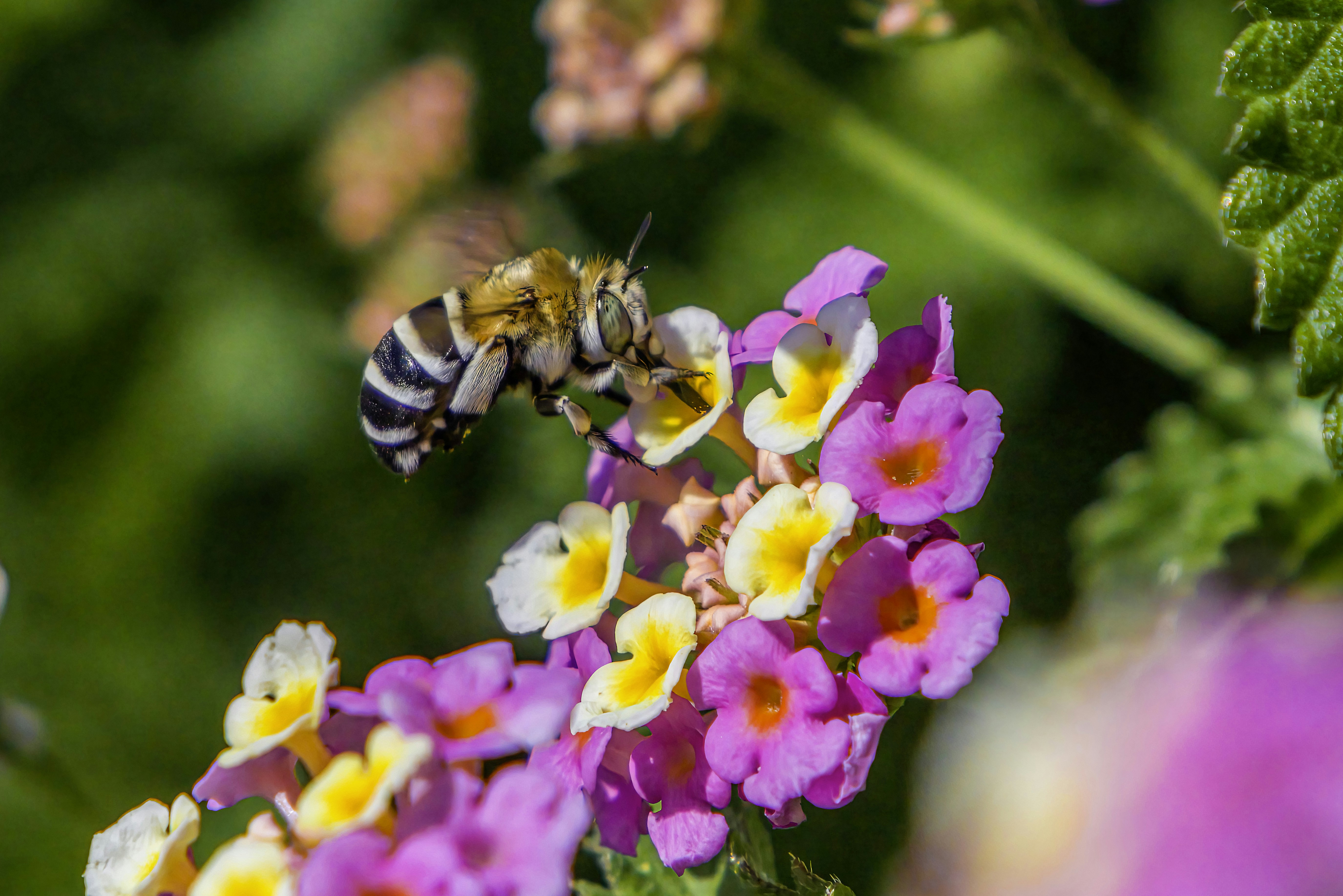 Photo by erik_karits