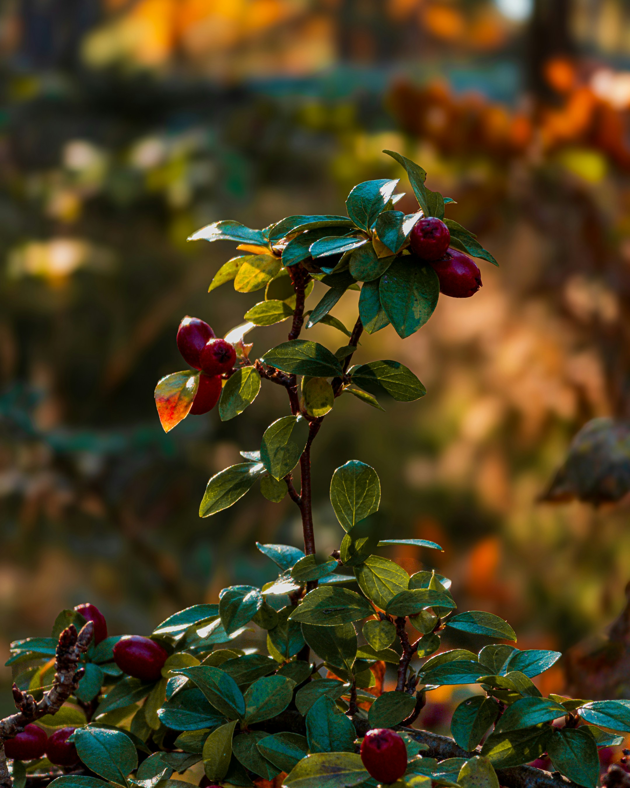 Photo by rawphotoflow