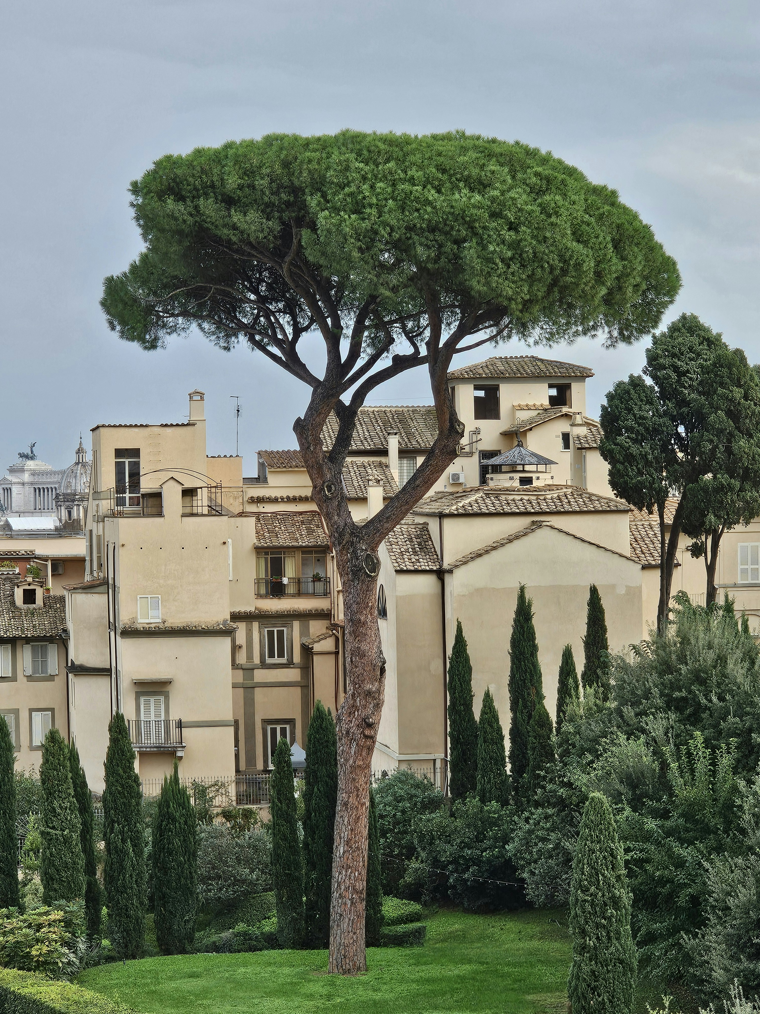 Photo by alaamclicks