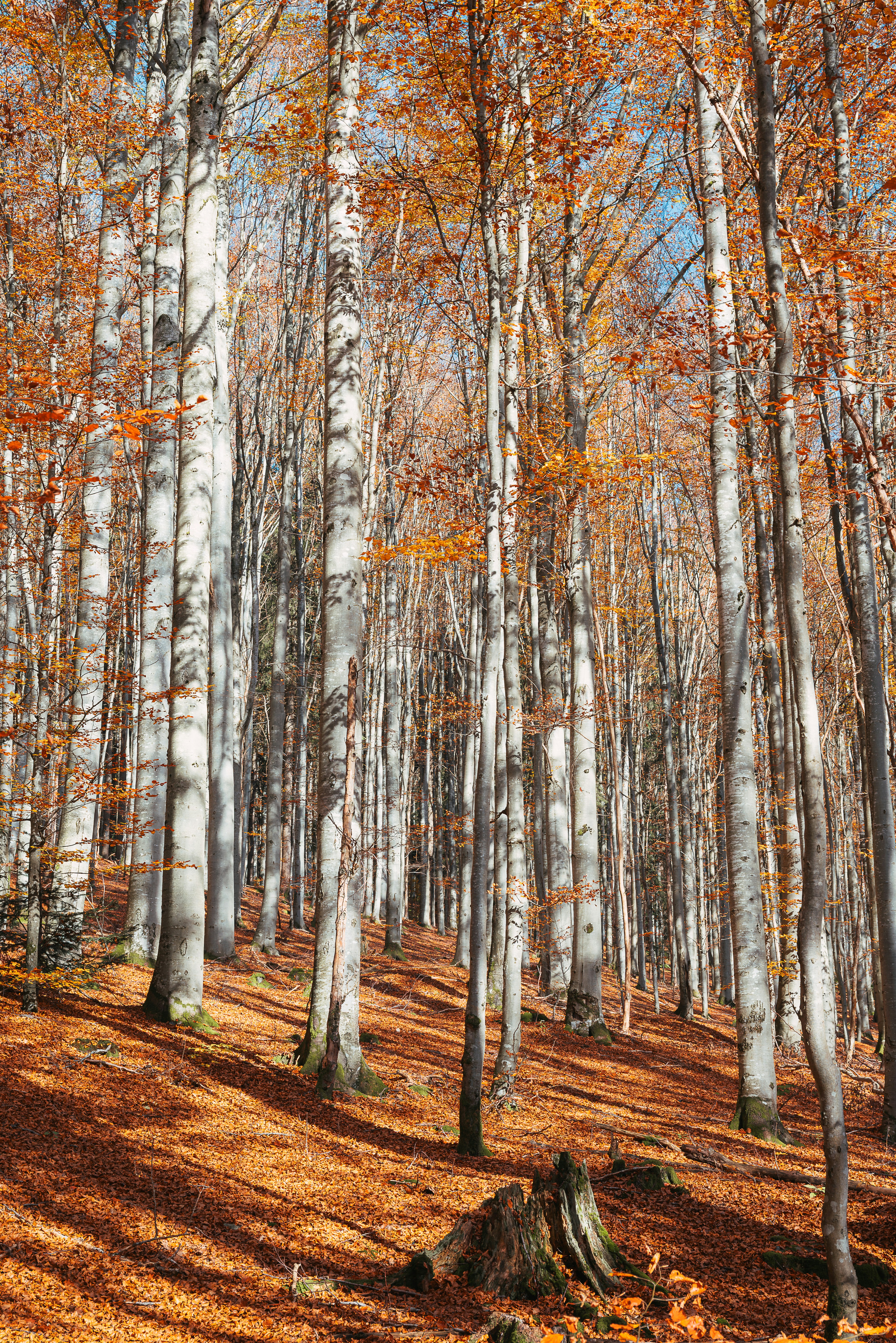 Photo by jetztabertempo