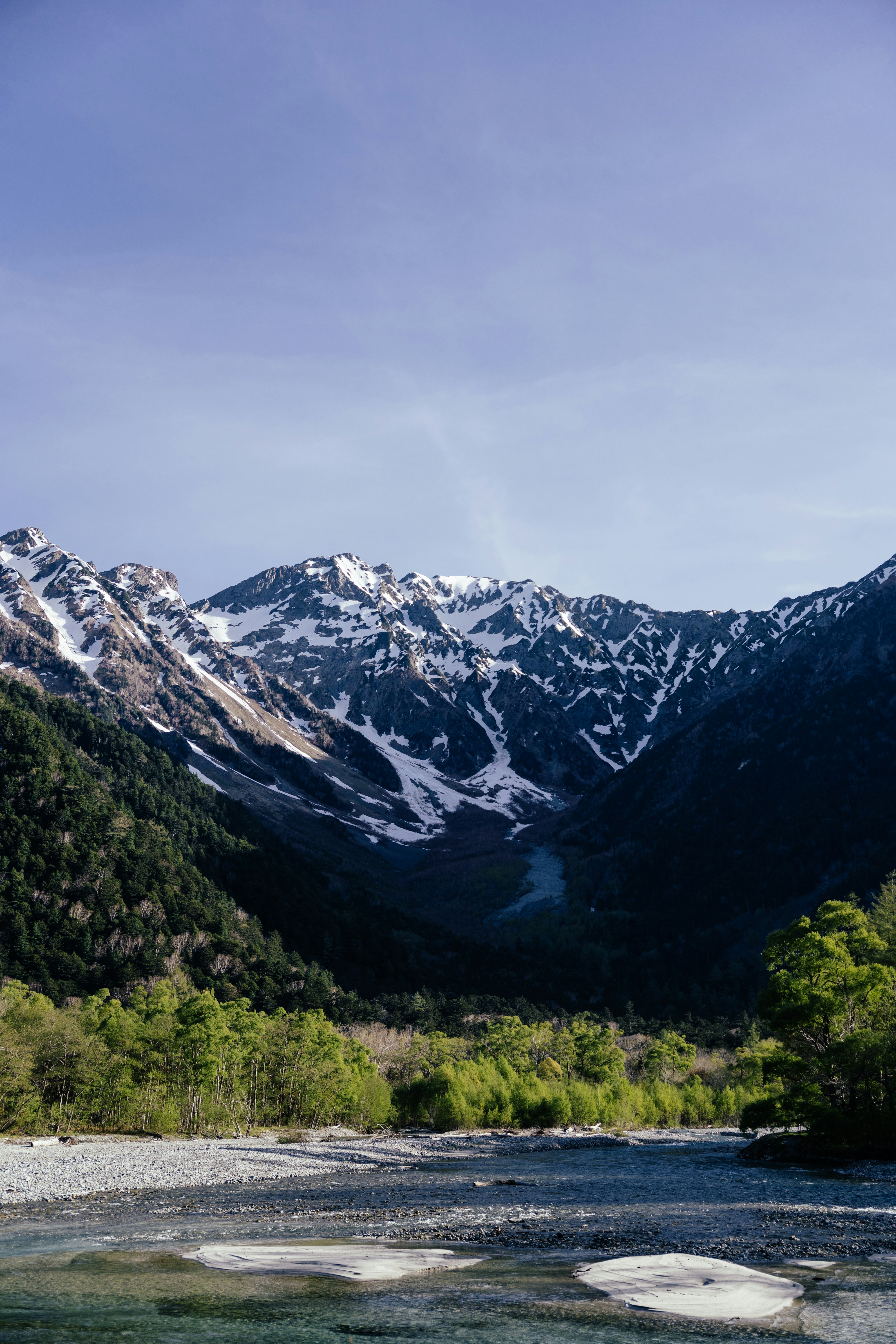 A river running through a lush green forest