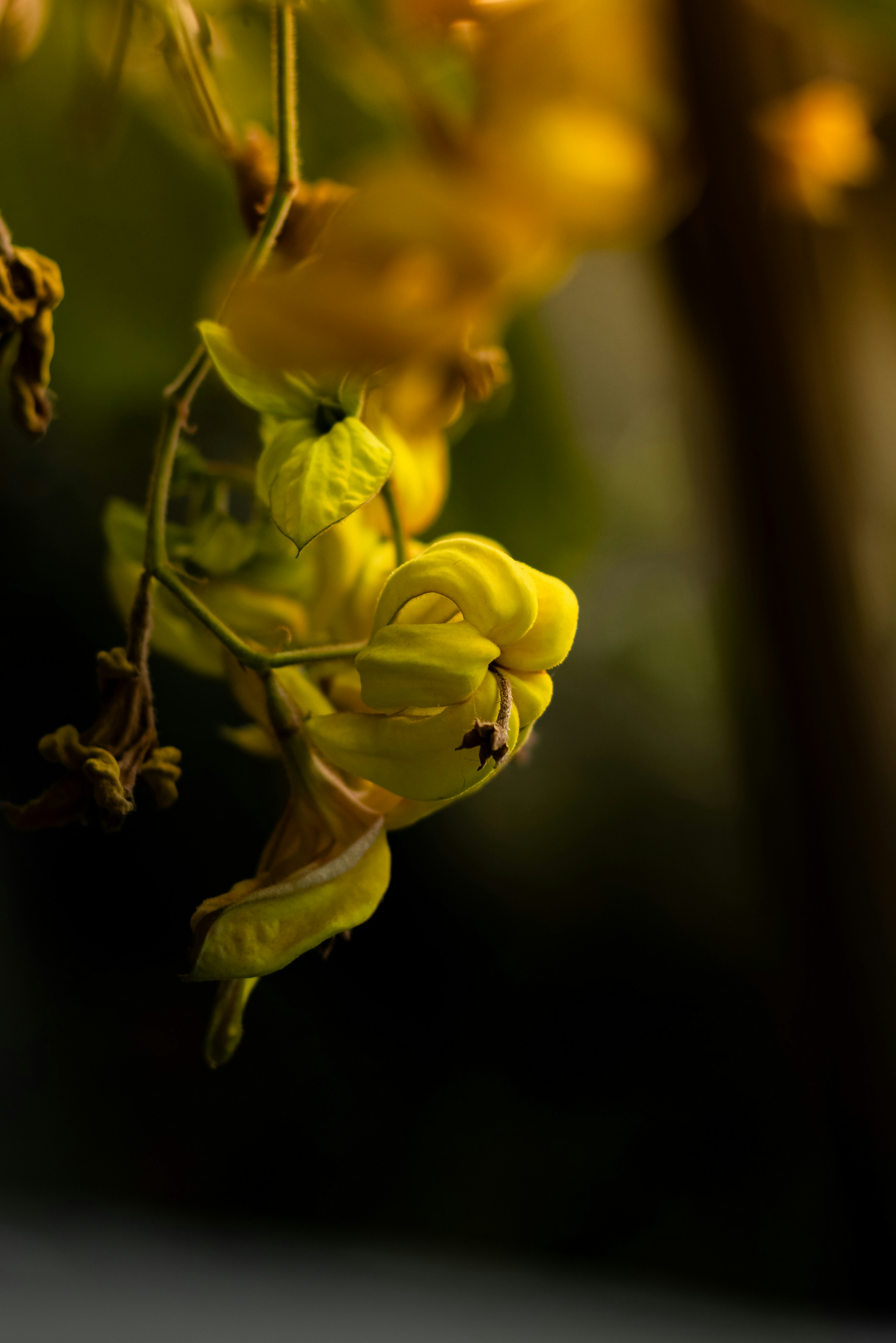 Photo by aryankumar974