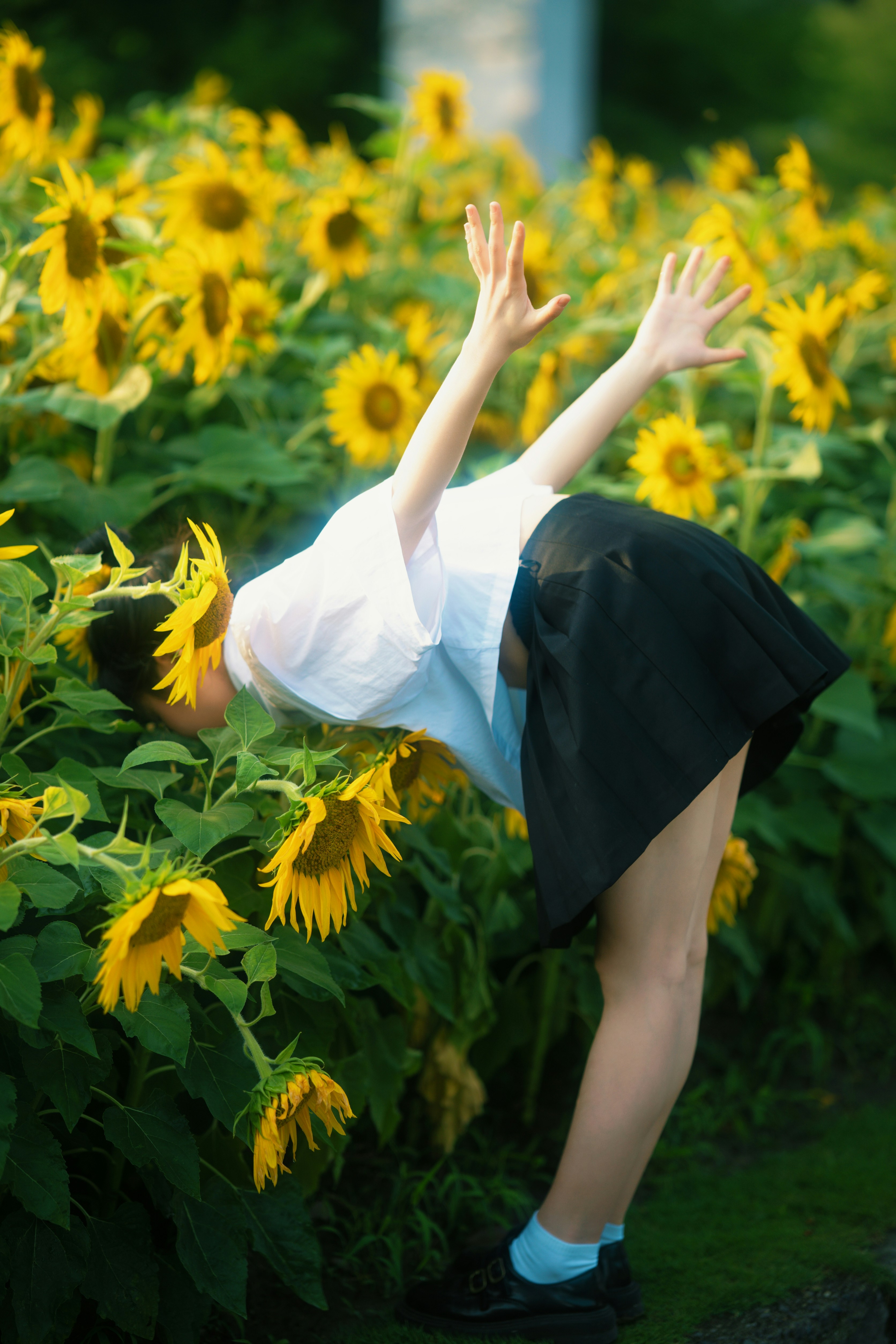 A woman reaching for a frisbee in a field of sunflowers