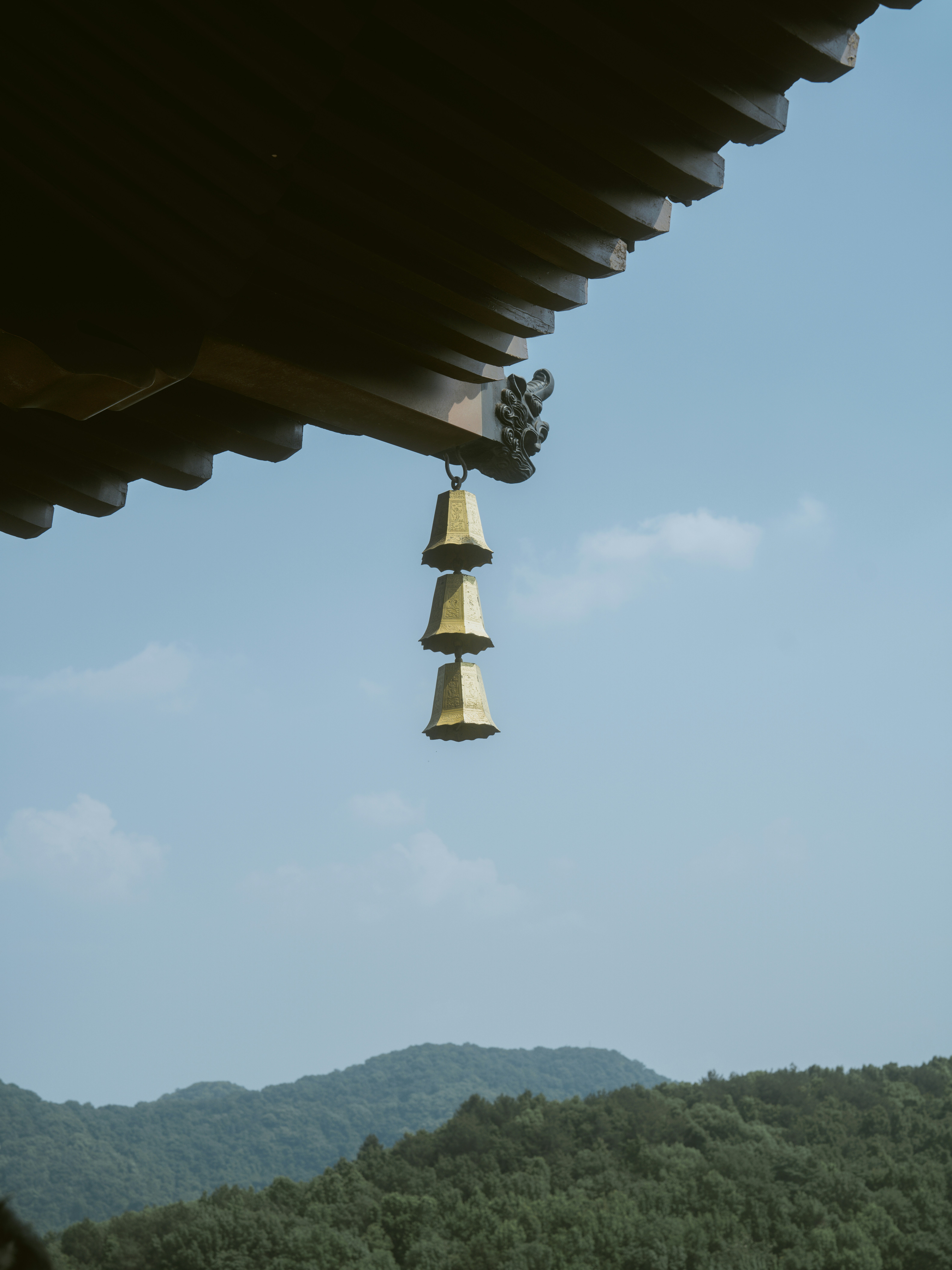 Photo by shaychen