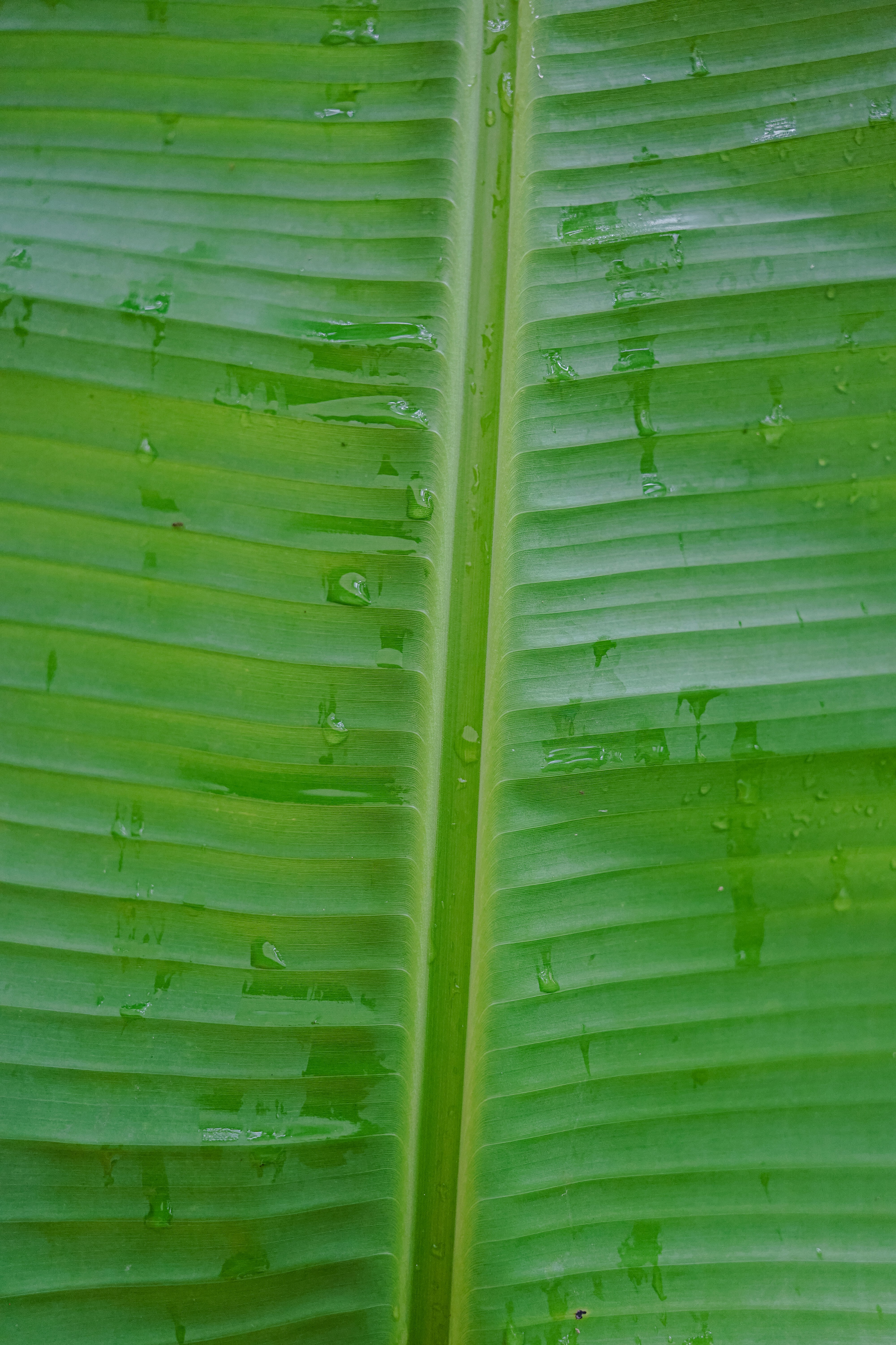 Photo by karthickgislen