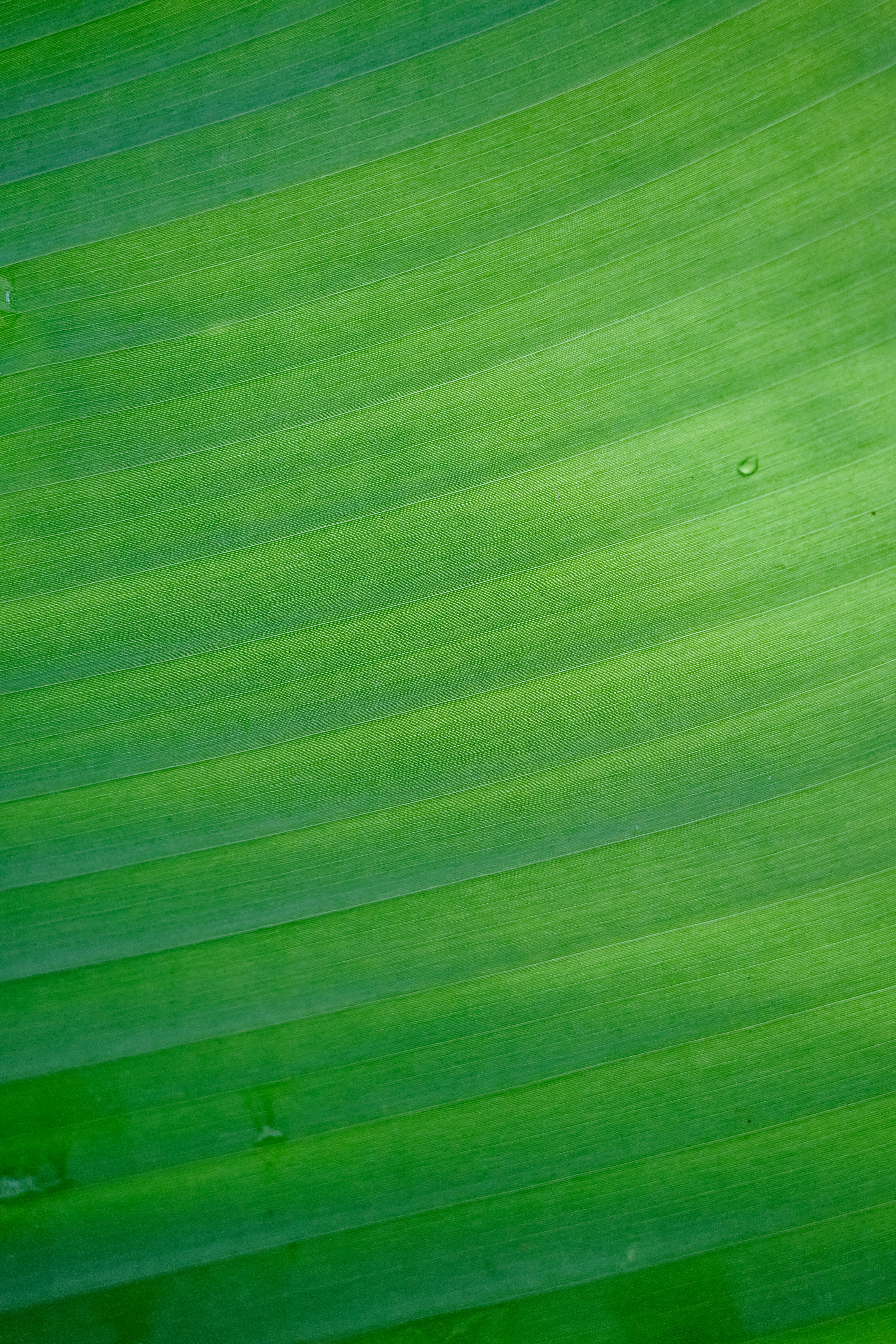 Photo by karthickgislen