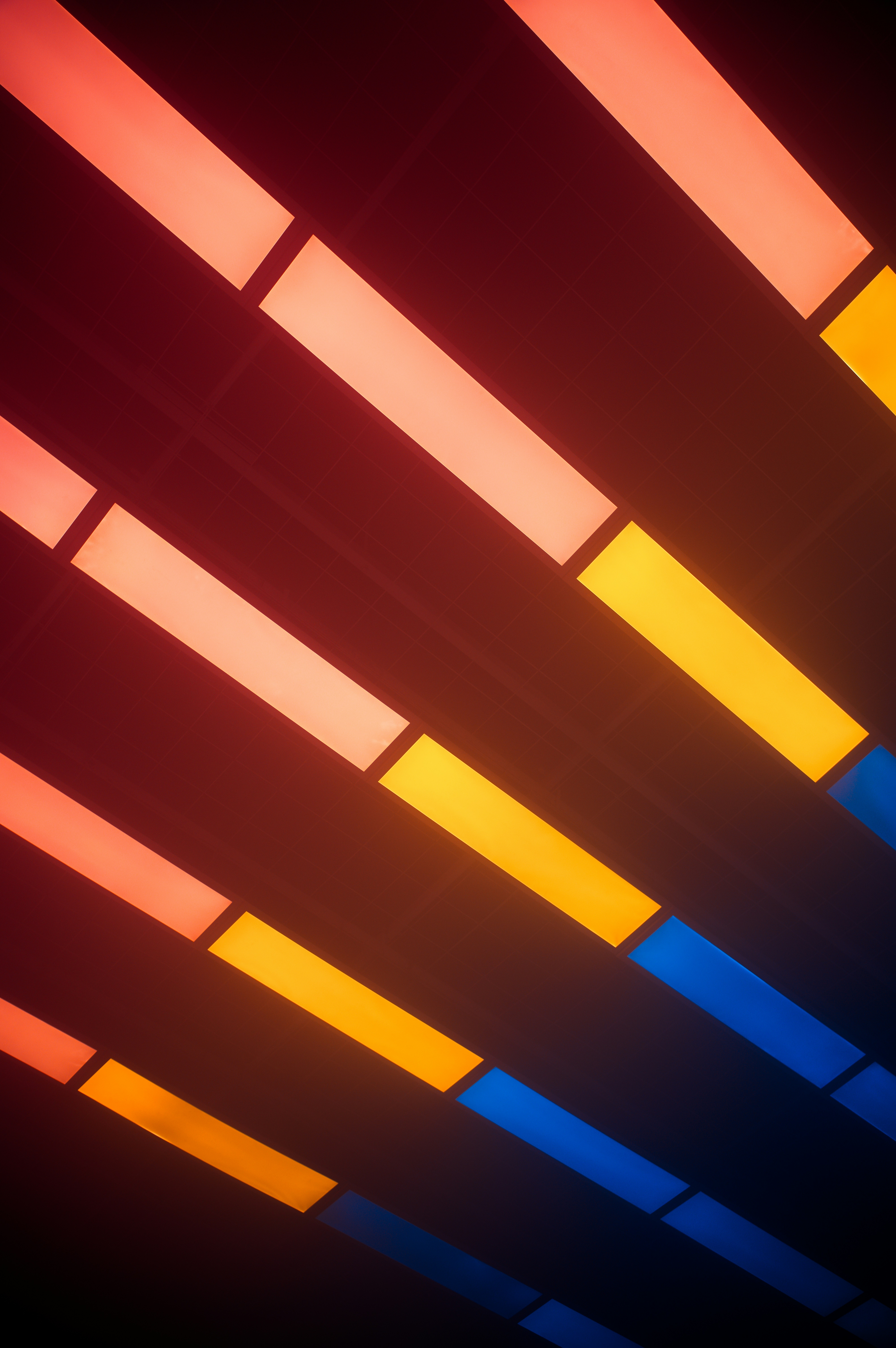 Photo by dynamicwang