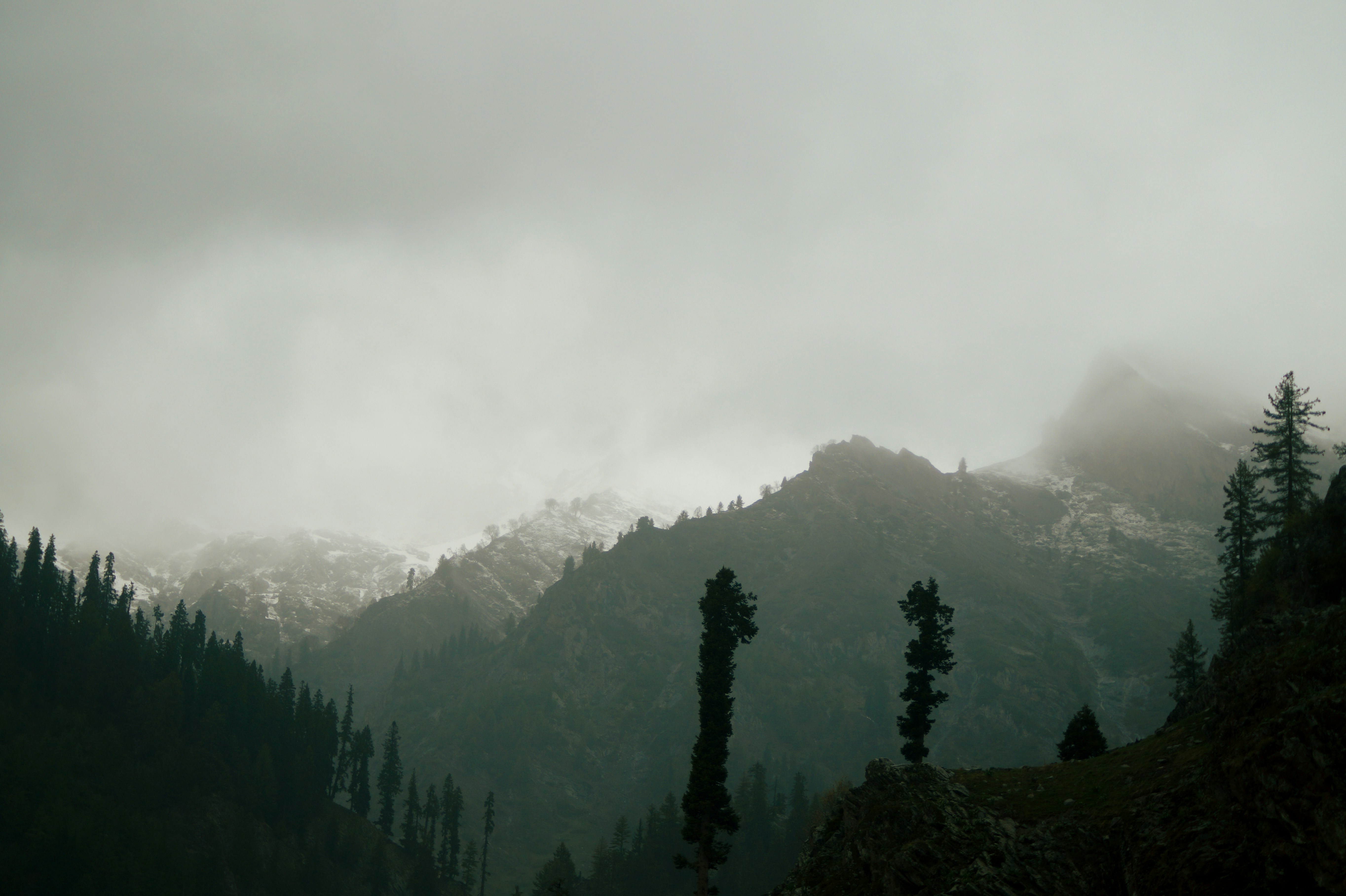 A view of a mountain range with trees in the foreground