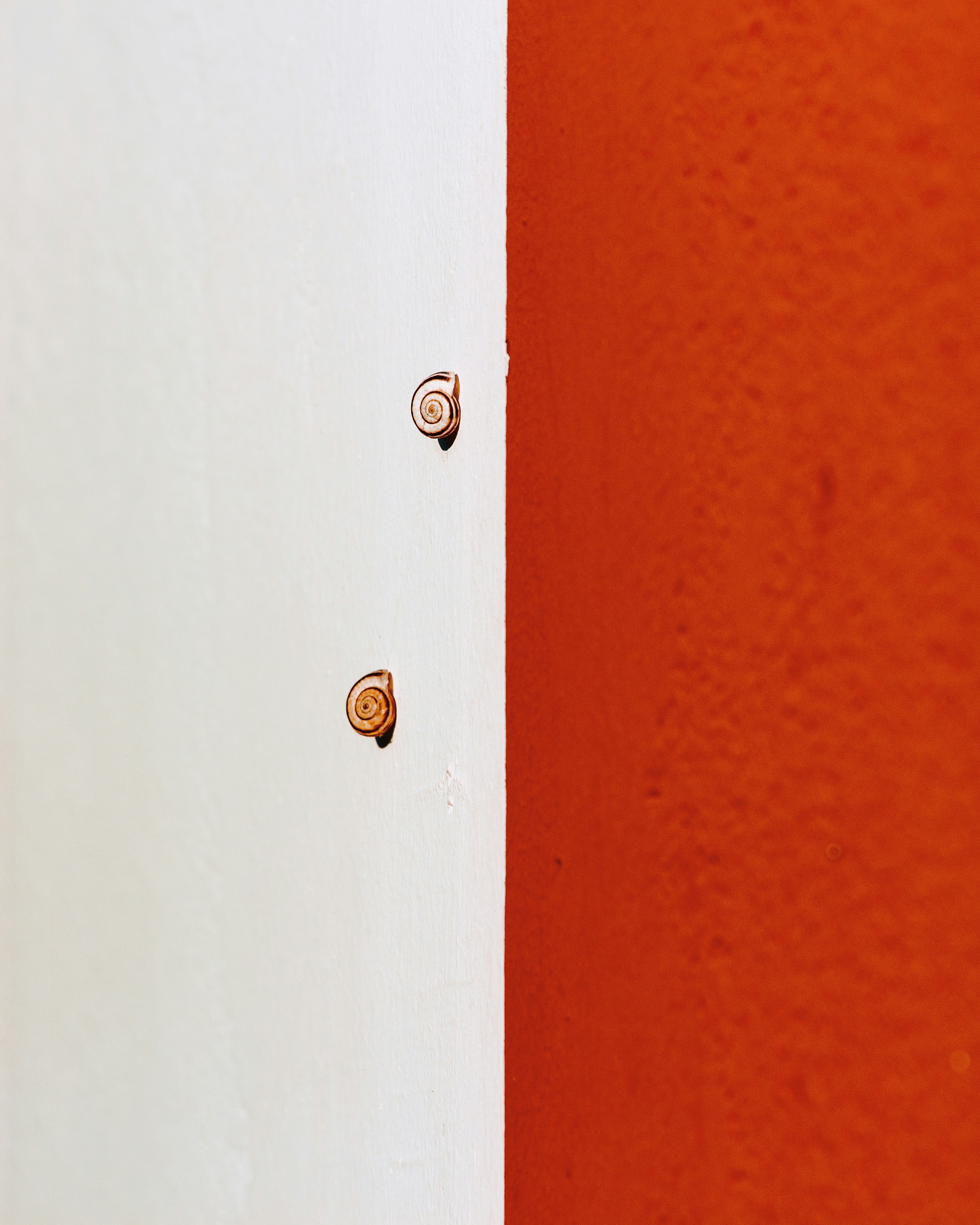 Photo by thesyberian