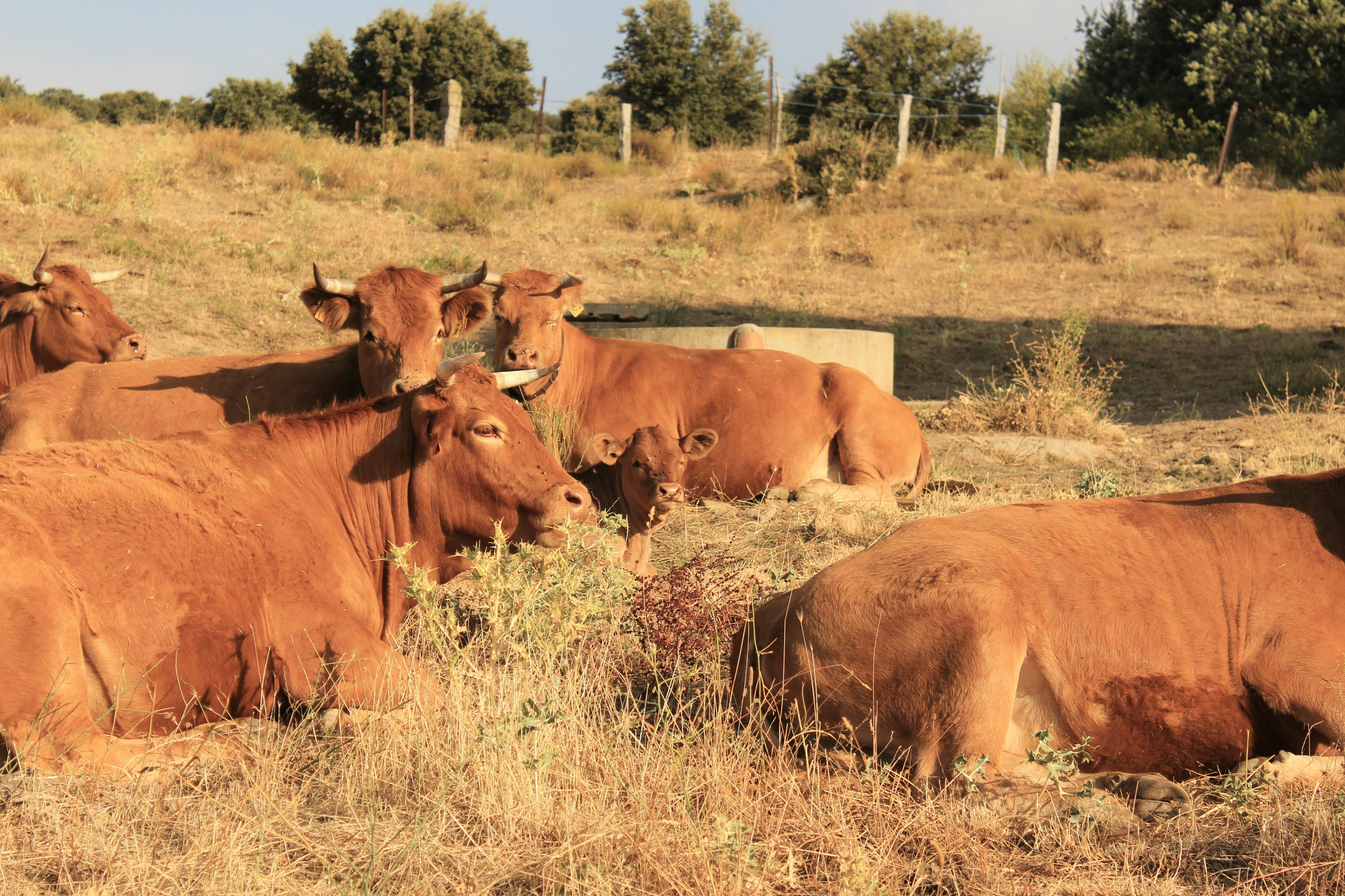 Photo by inesabellar13