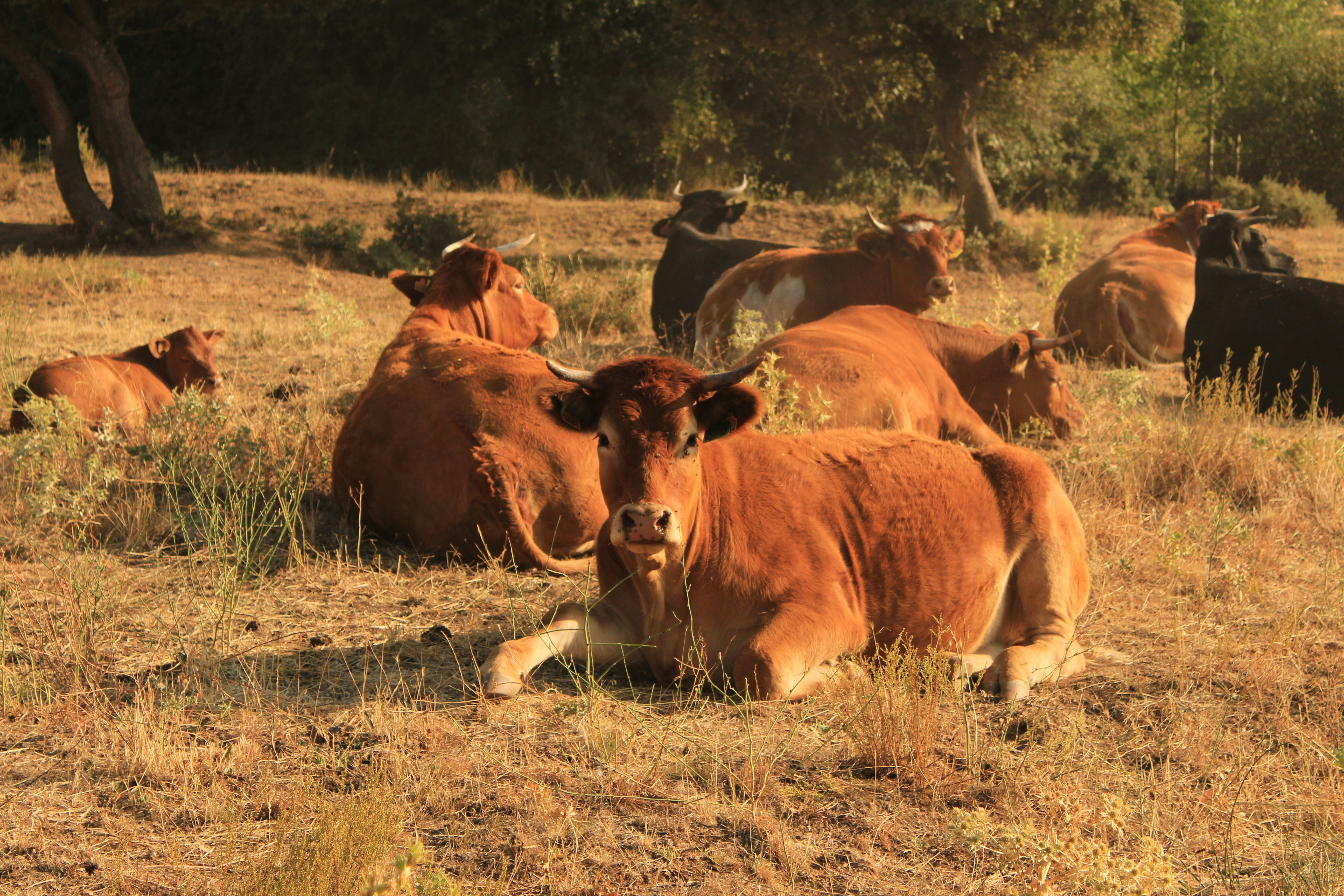 Photo by inesabellar13