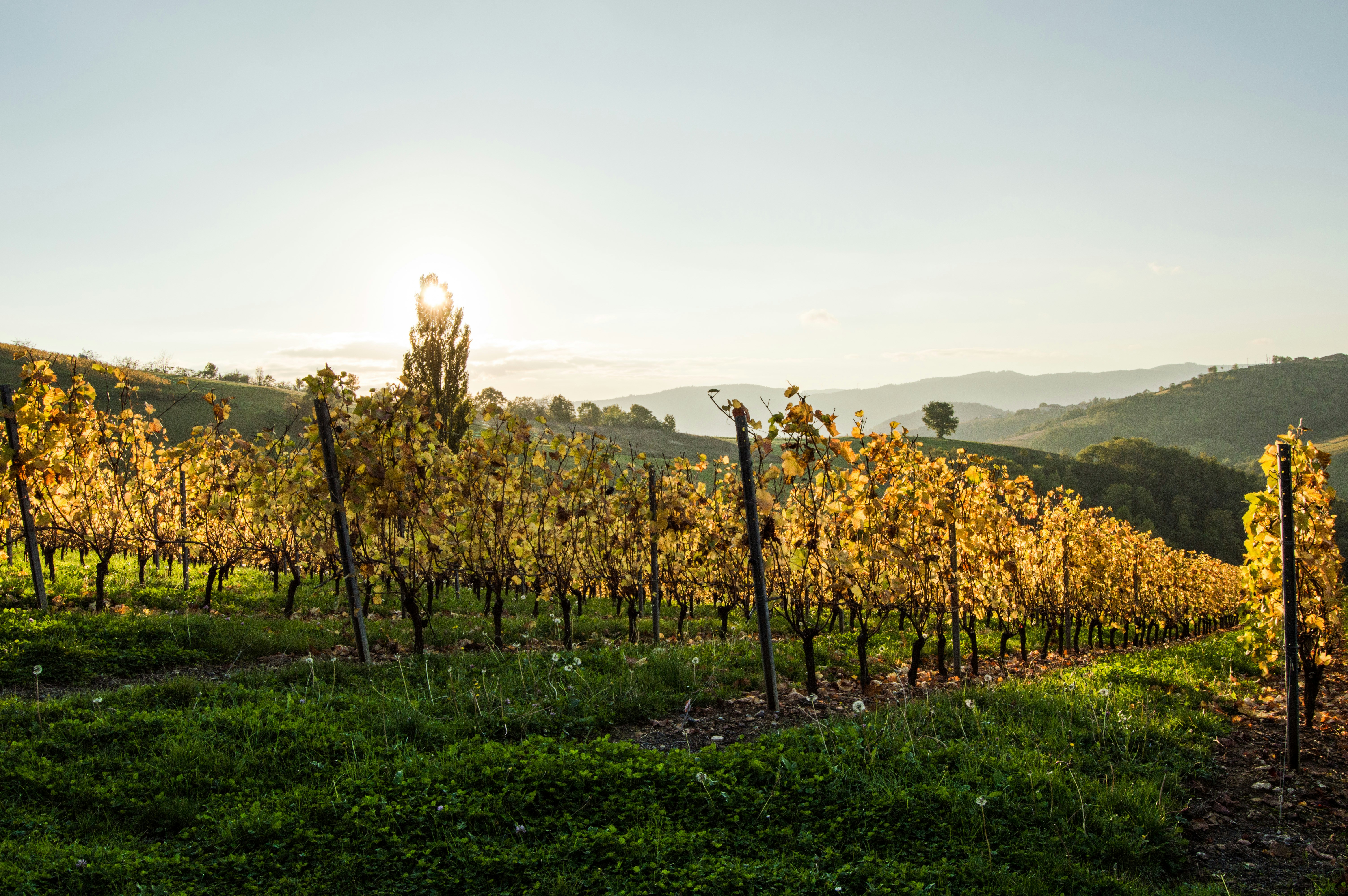 Photo by lucasgallone