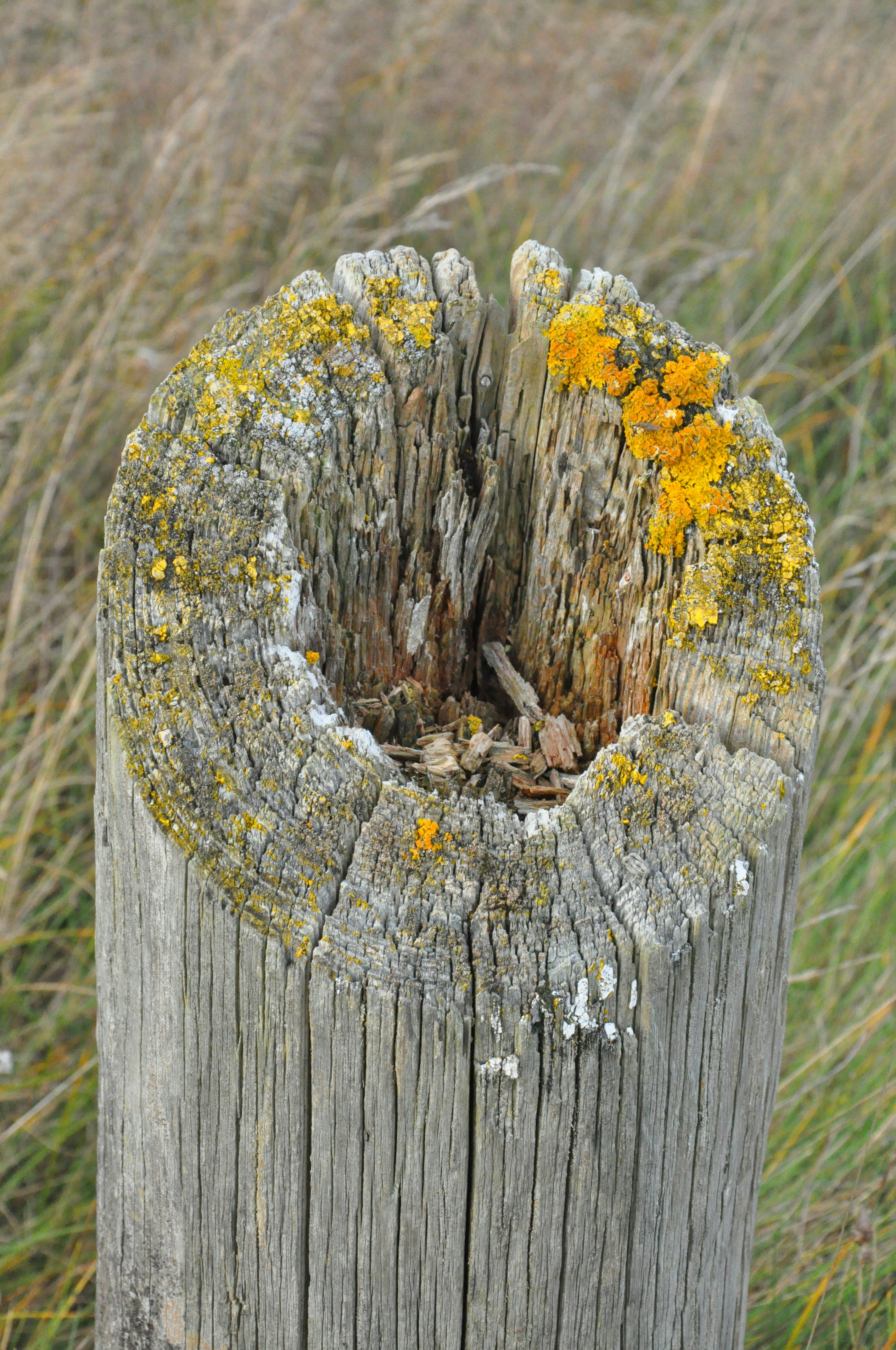 Jutland – Nightlife & Evening Culture