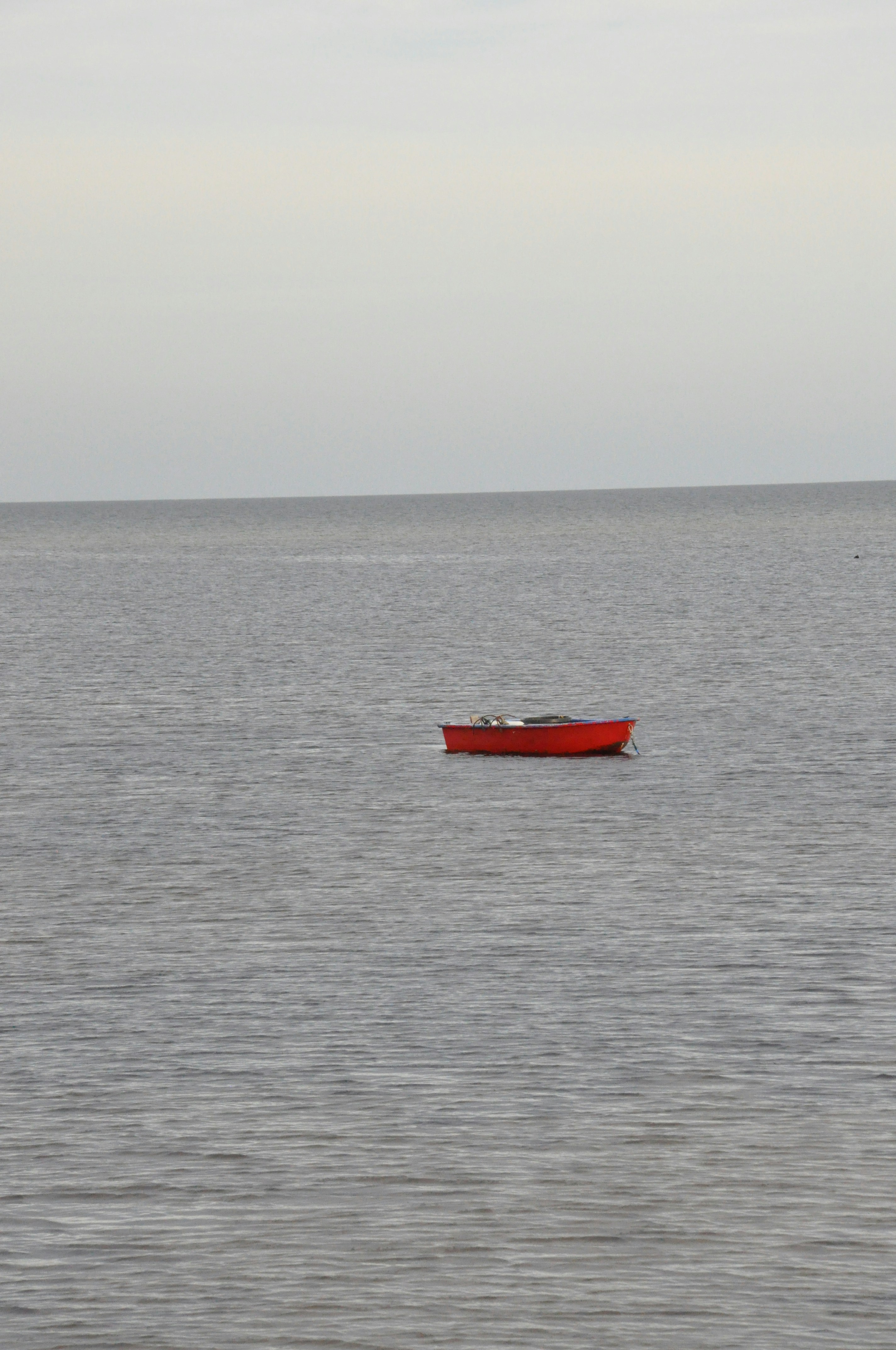 Photo by henrikvoiceofdenmark