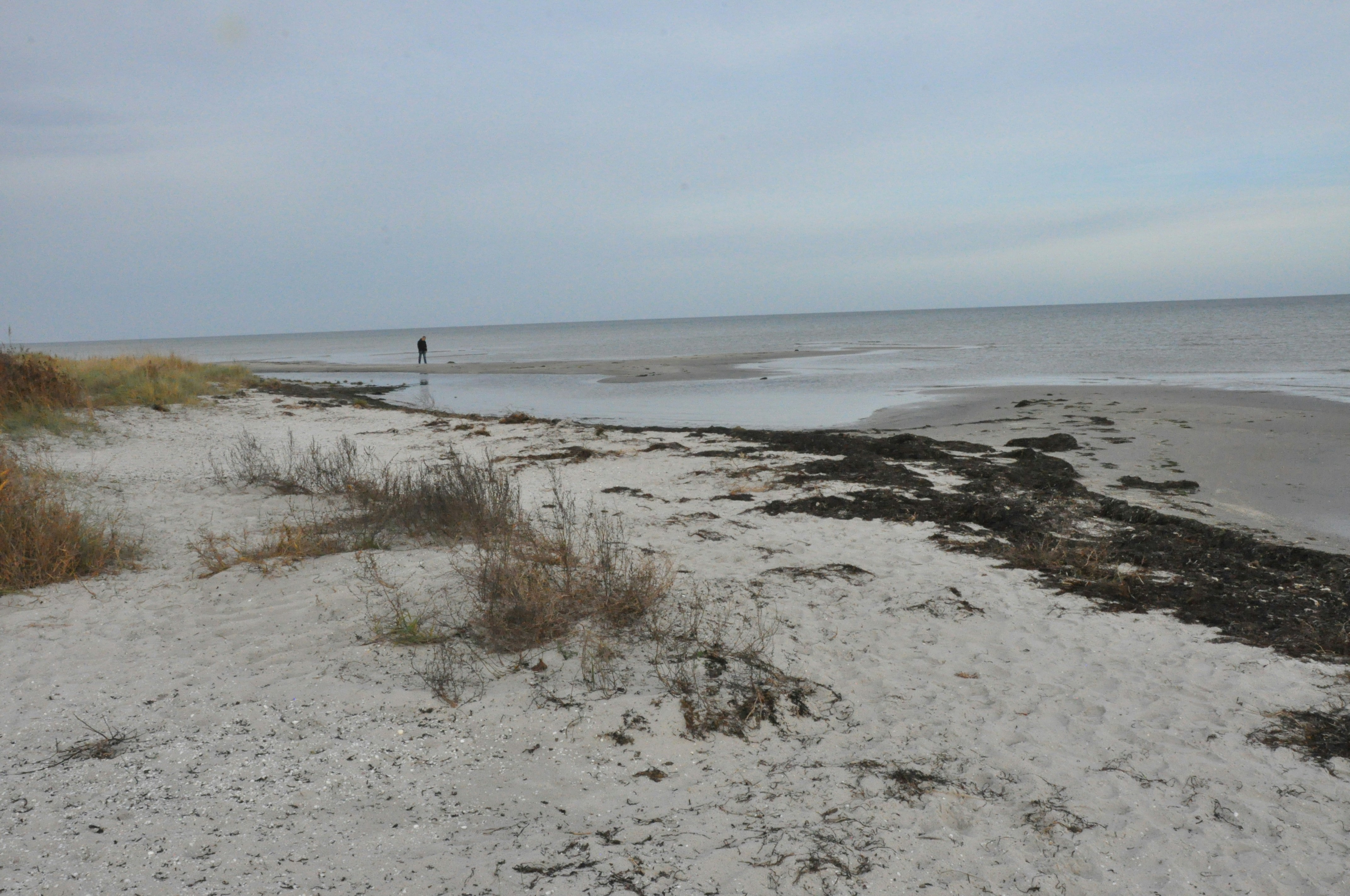 A sandy beach with a body of water in the background